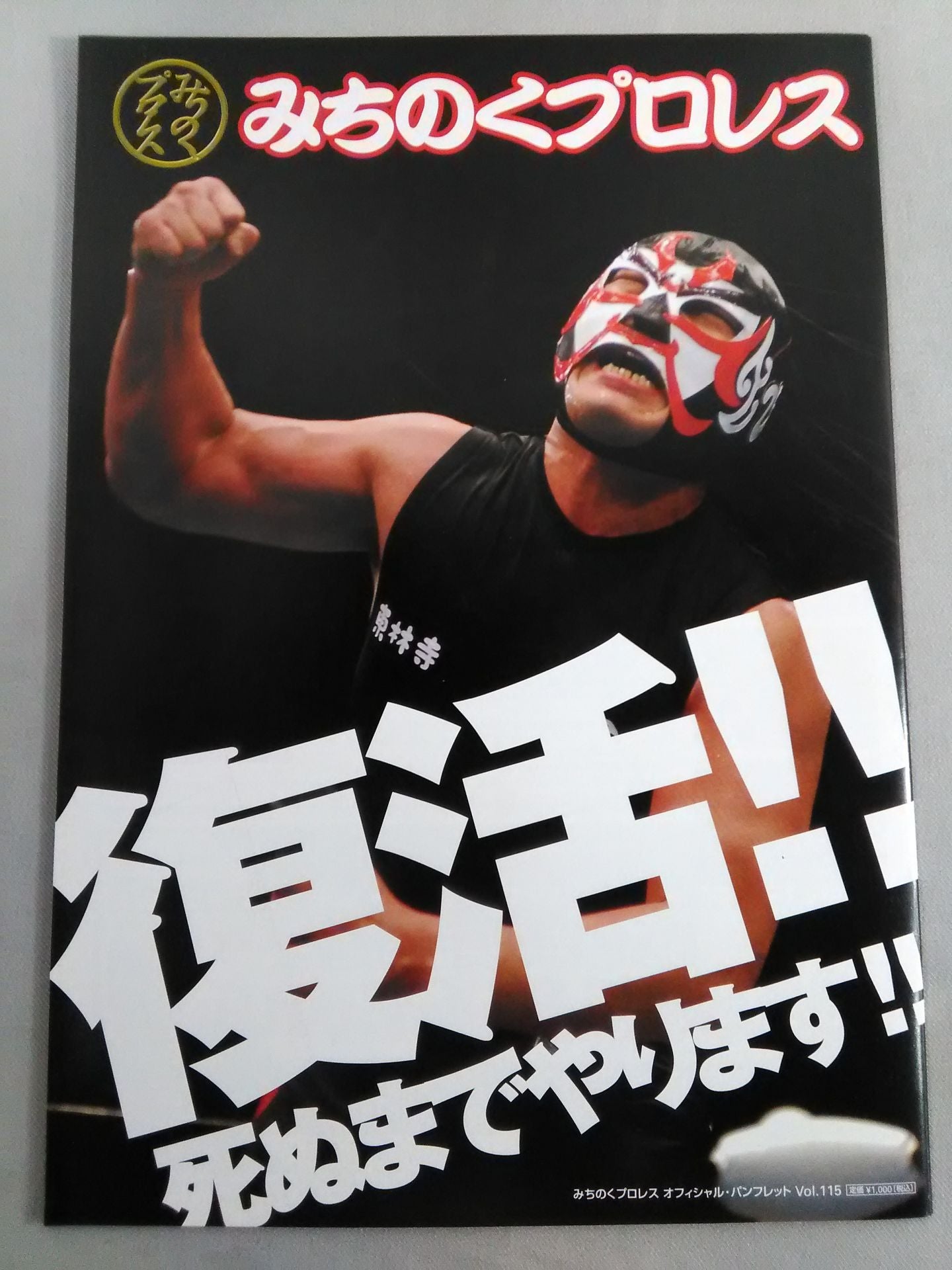 Michinoku Pro Wrestling  Official Brochure Vol.115