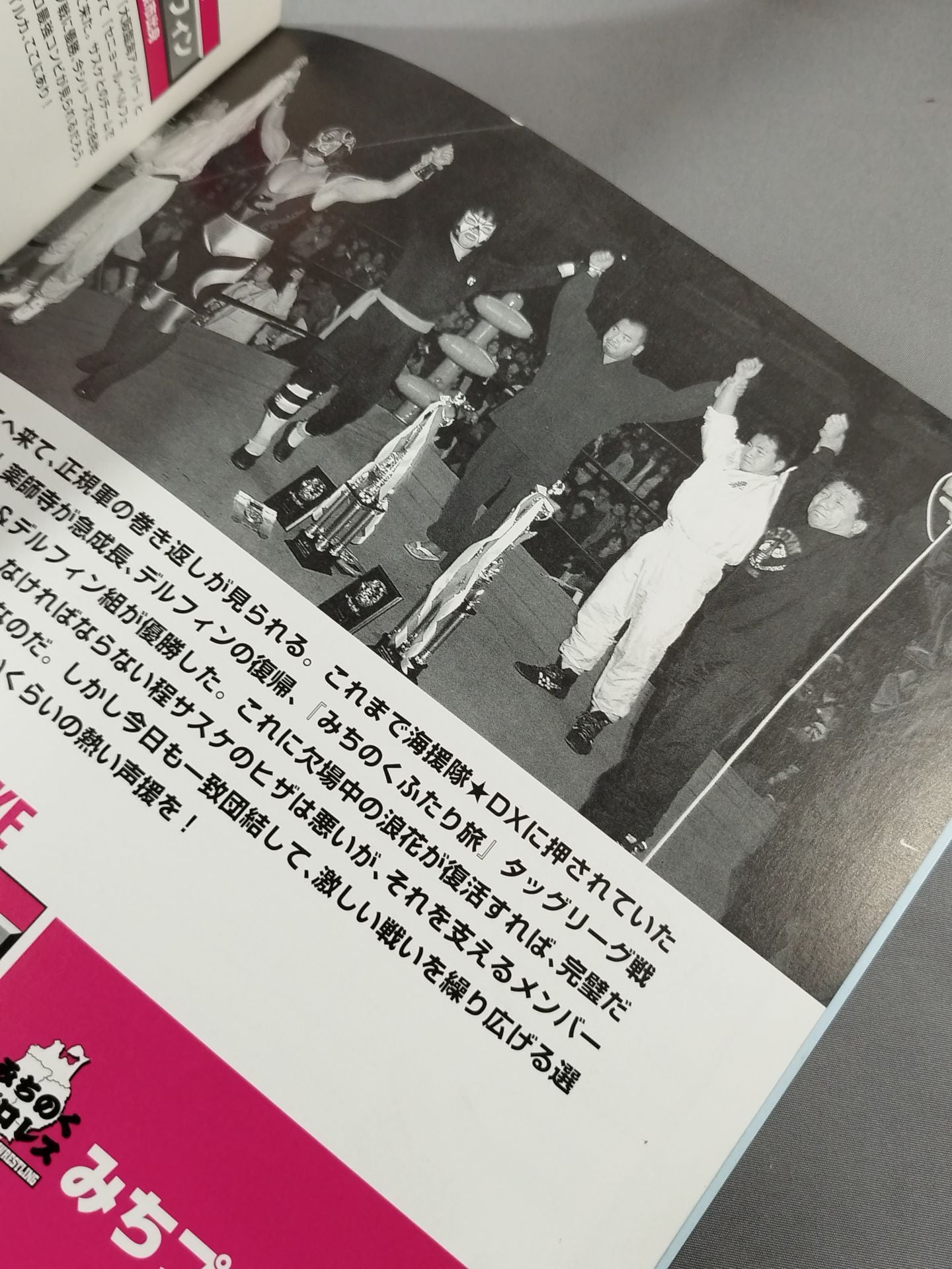 Michinoku Pro Wrestling  Official Brochure Vol.36