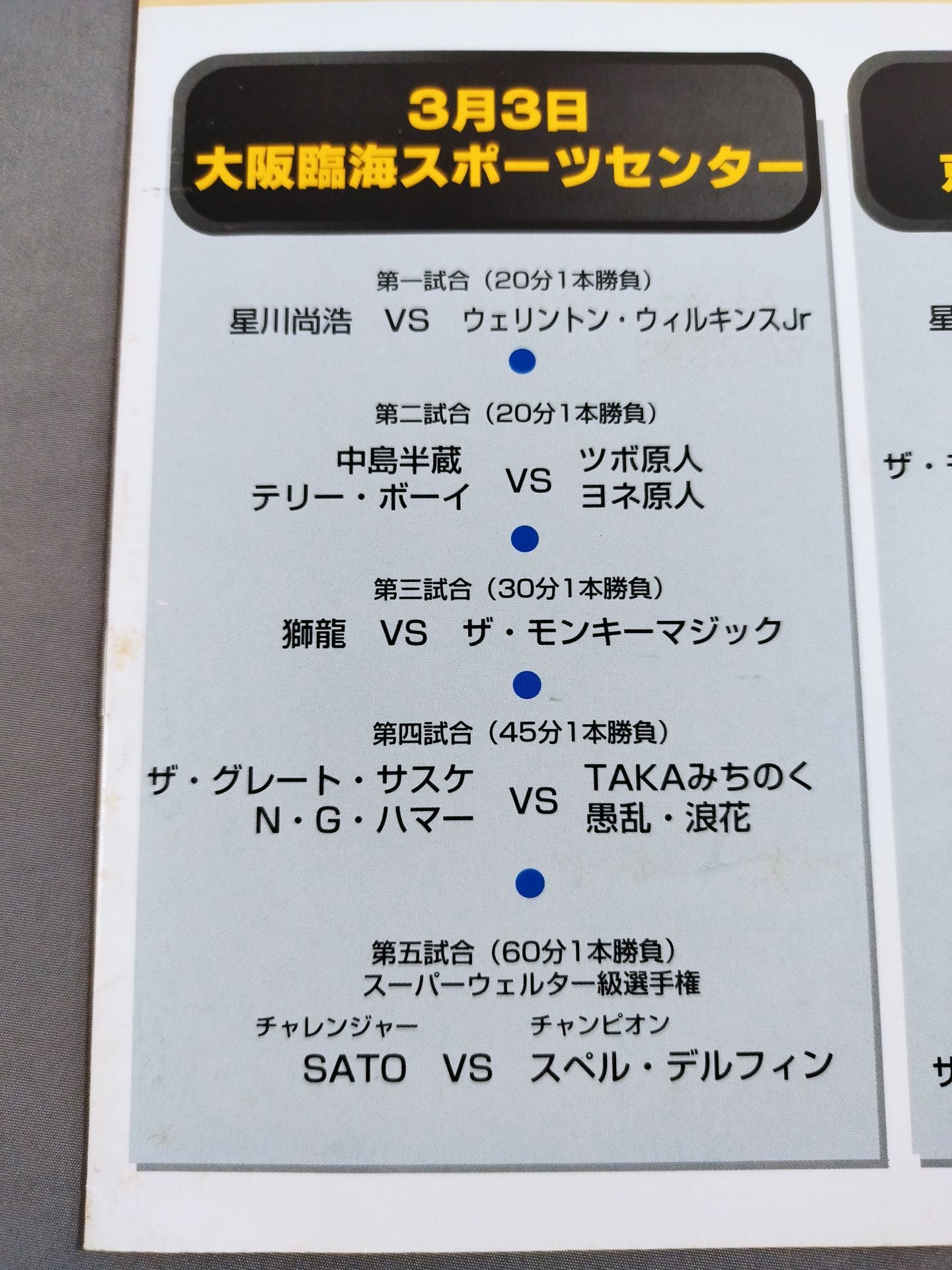 Michinoku Pro Wrestling  / Sakura Sakura '95