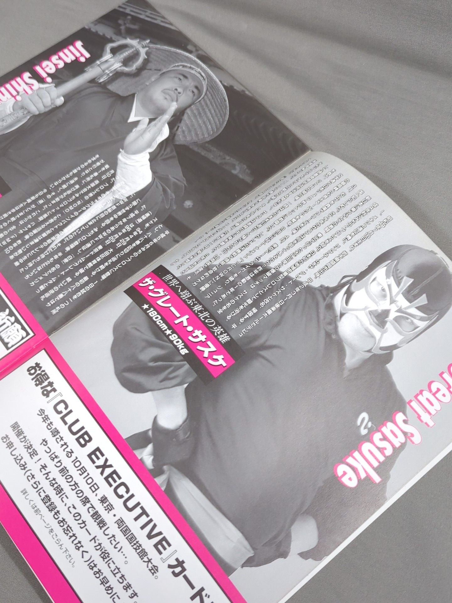 Michinoku Pro Wrestling  Official Brochure Vol.27