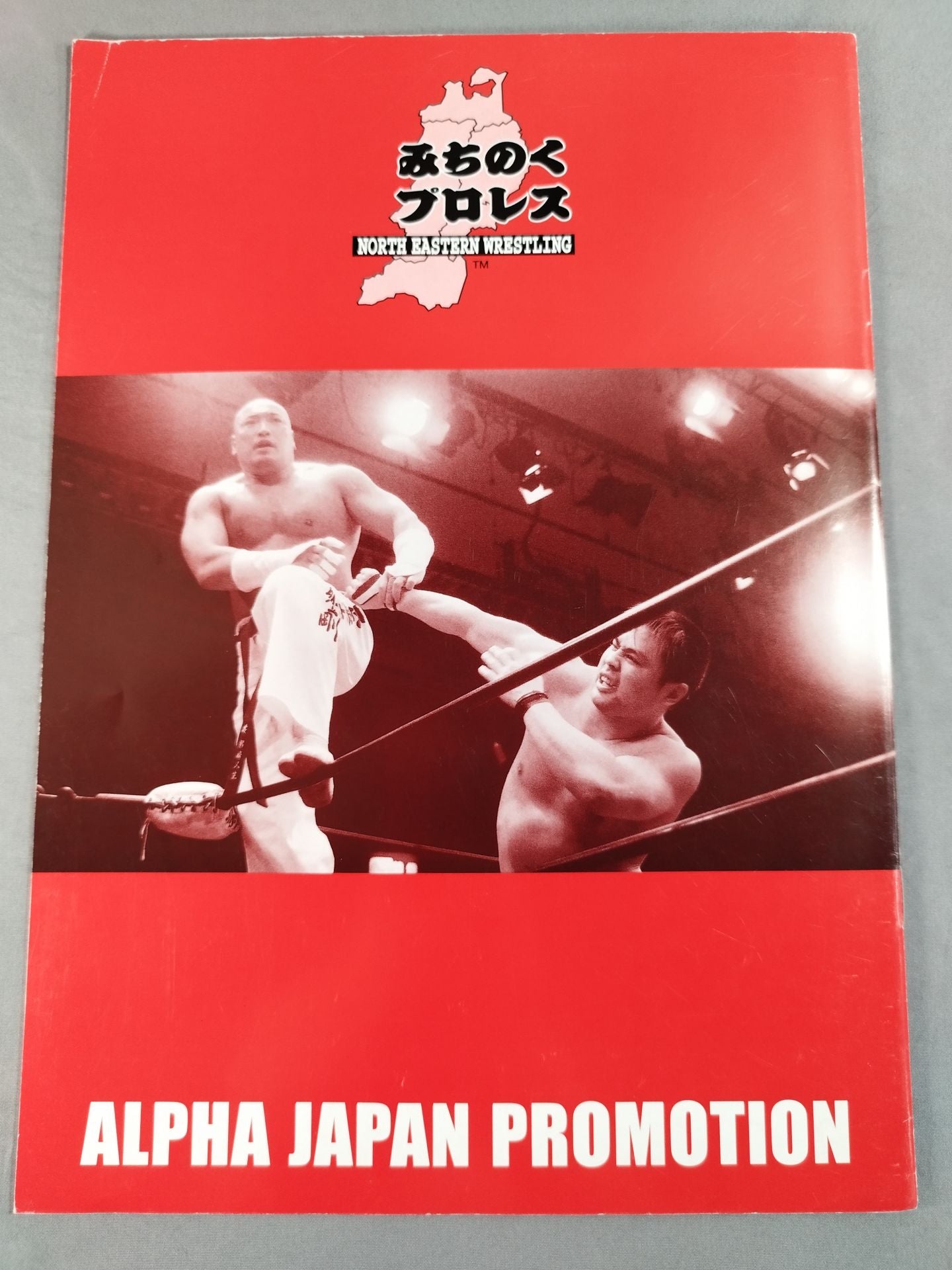 Michinoku Pro Wrestling  / HELLO! Yokosuka