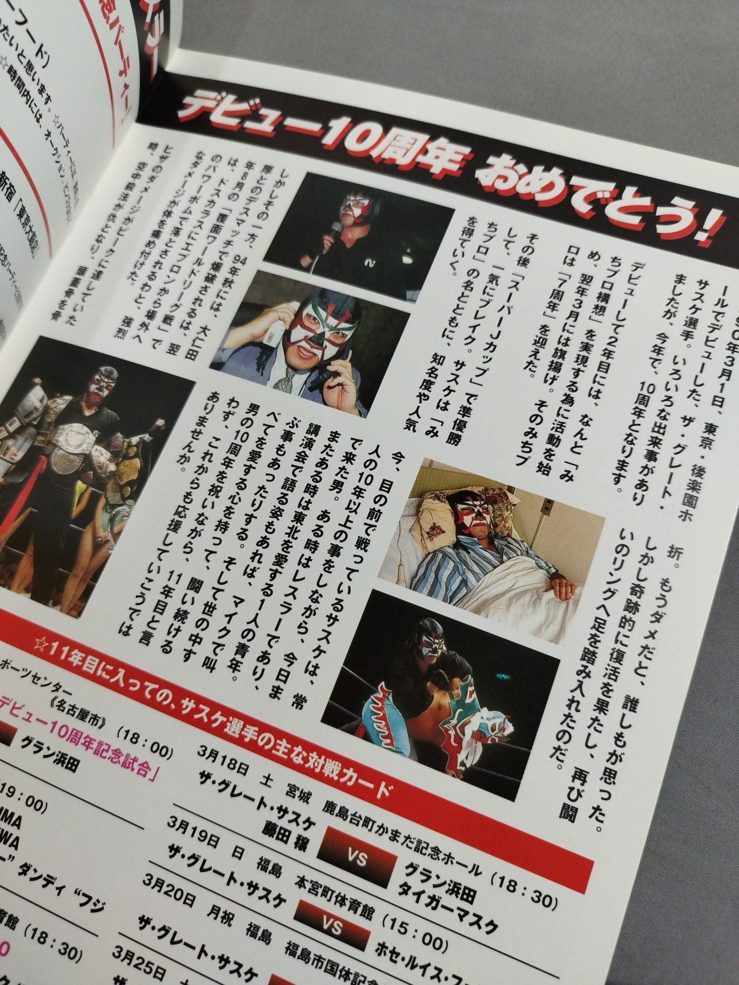 Michinoku Pro Wrestling  Official Brochure Vol.54