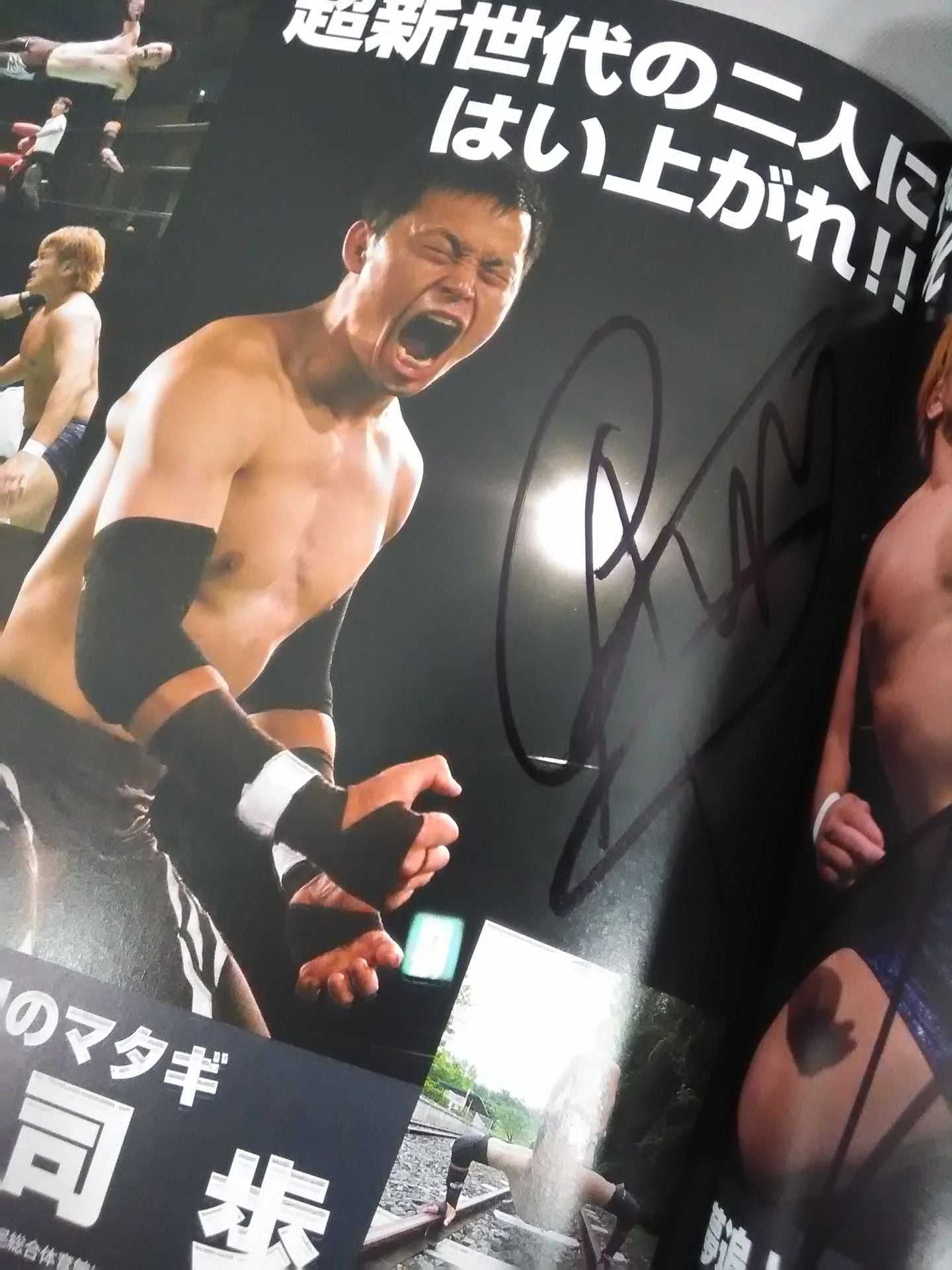 [6 fighters hand signed autograph Michinoku Pro Wrestling  Official Brochure Vol.148