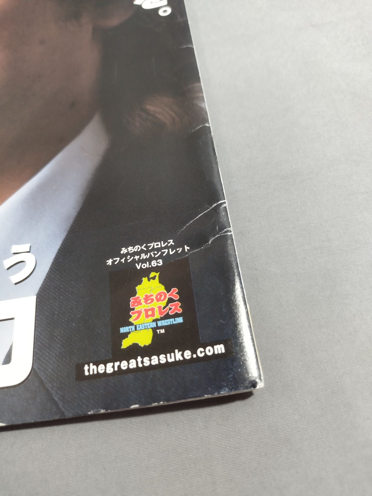 Michinoku Pro Wrestling  Official Brochure Vol.63
