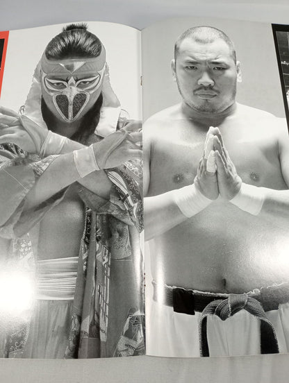 ★人生vsハヤブサ★ みちのくプロレス オフィシャルパンフレット Vol.24