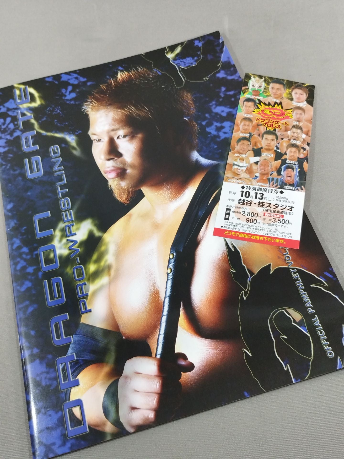 【特別優待券付】2007ドラゴンゲート オフィシャルパンフレット Vol.Ⅳ(Vol.4)