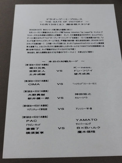 【特別優待券付】2007ドラゴンゲート オフィシャルパンフレット Vol.Ⅳ(Vol.4)