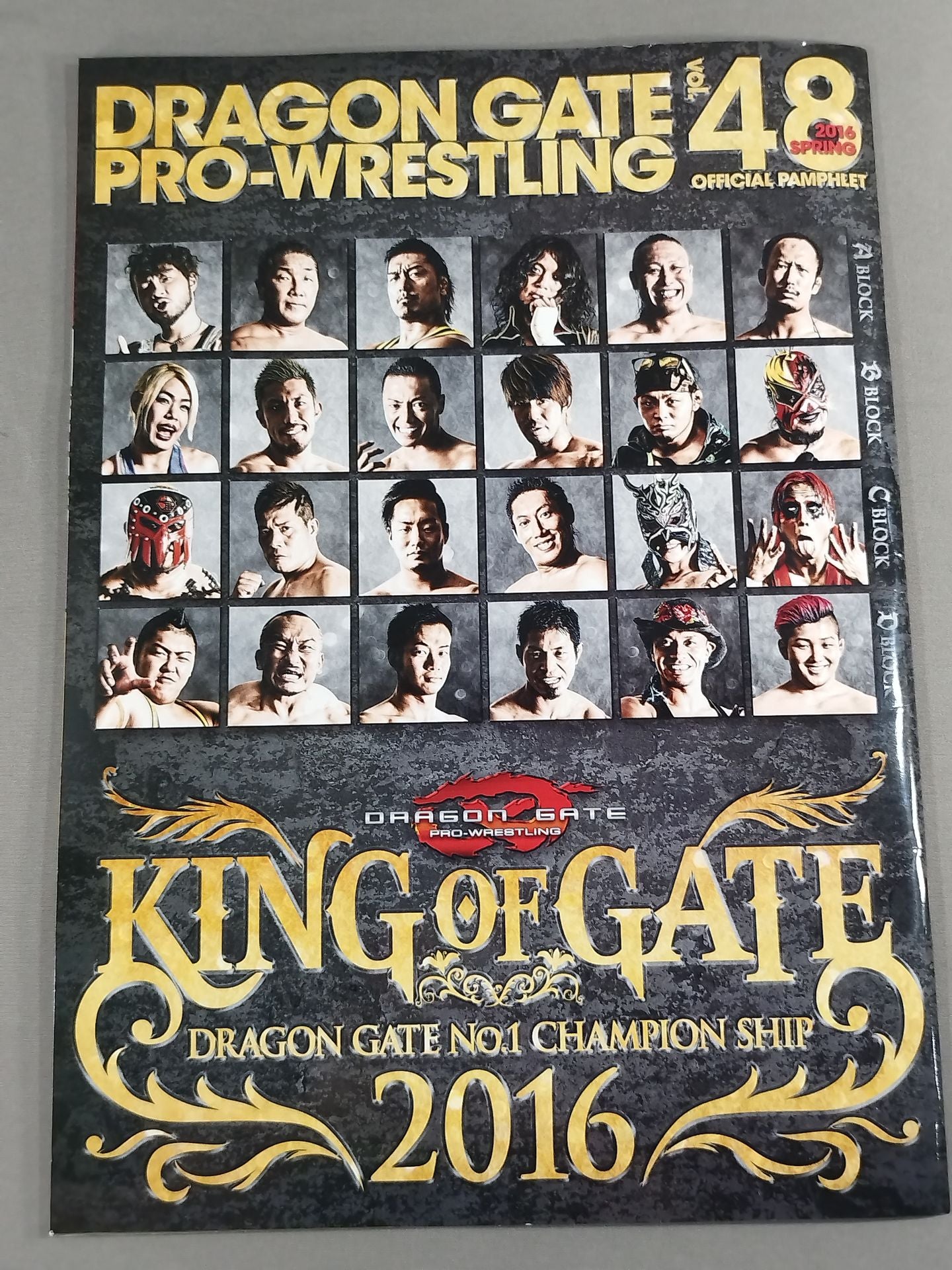 2016 Dragon Gate Official Brochure Vol. 48