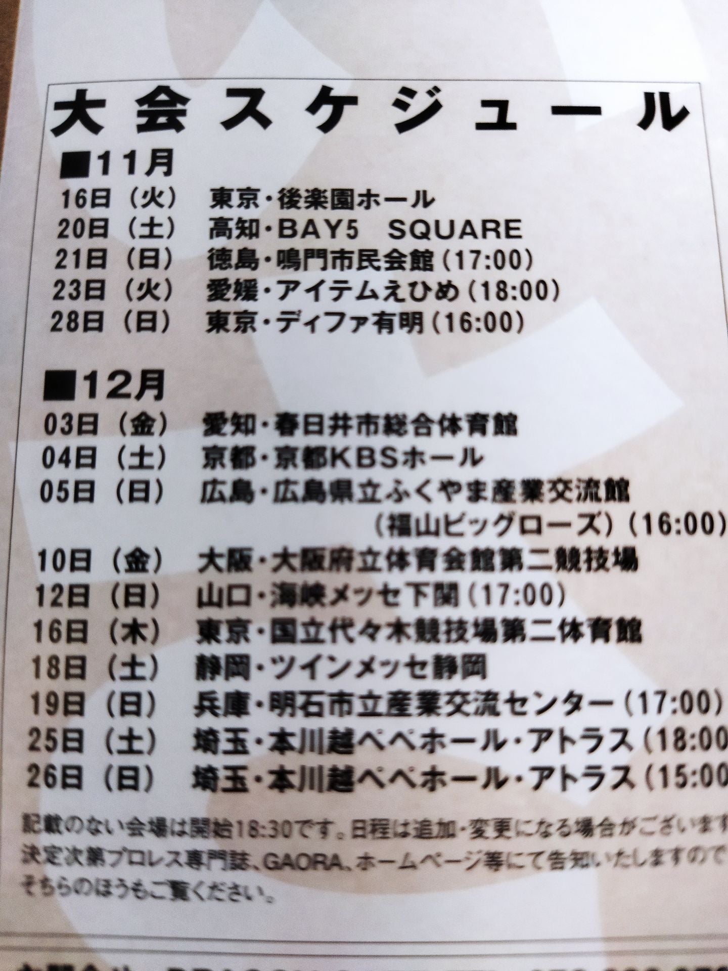 2004 Dragon Gate Official Pamphlet (November~December)
