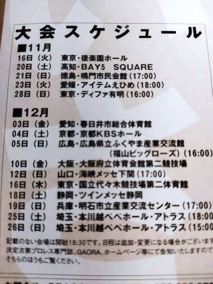 2004 Dragon Gate Official Pamphlet (November~December)