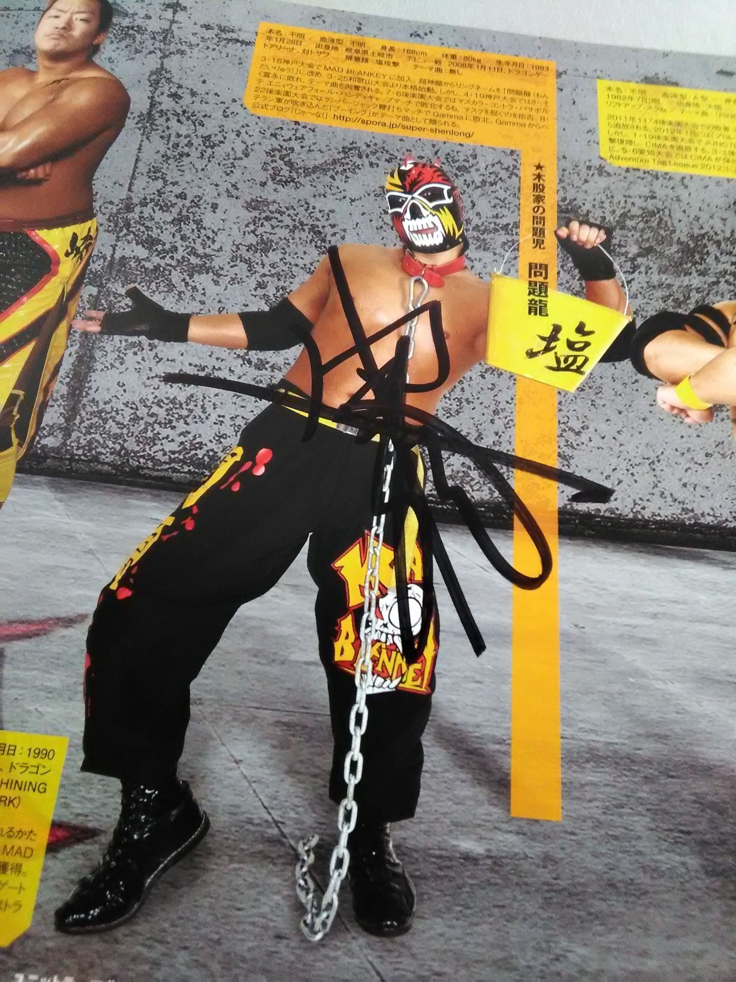 【3選手直筆サイン入り】2012ドラゴンゲート オフィシャルパンフレット Vol.27