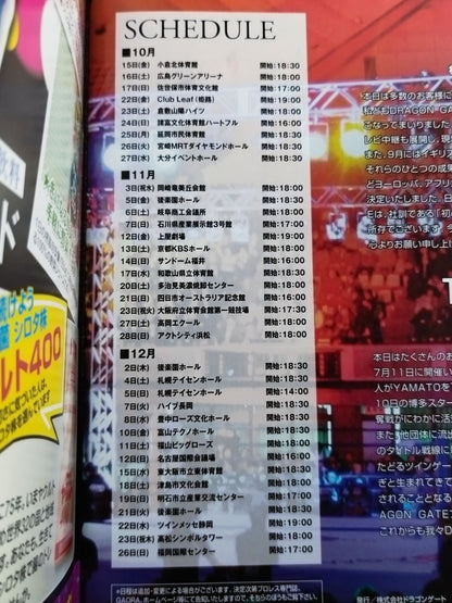 2010ドラゴンゲート オフィシャルパンフレット Vol.17