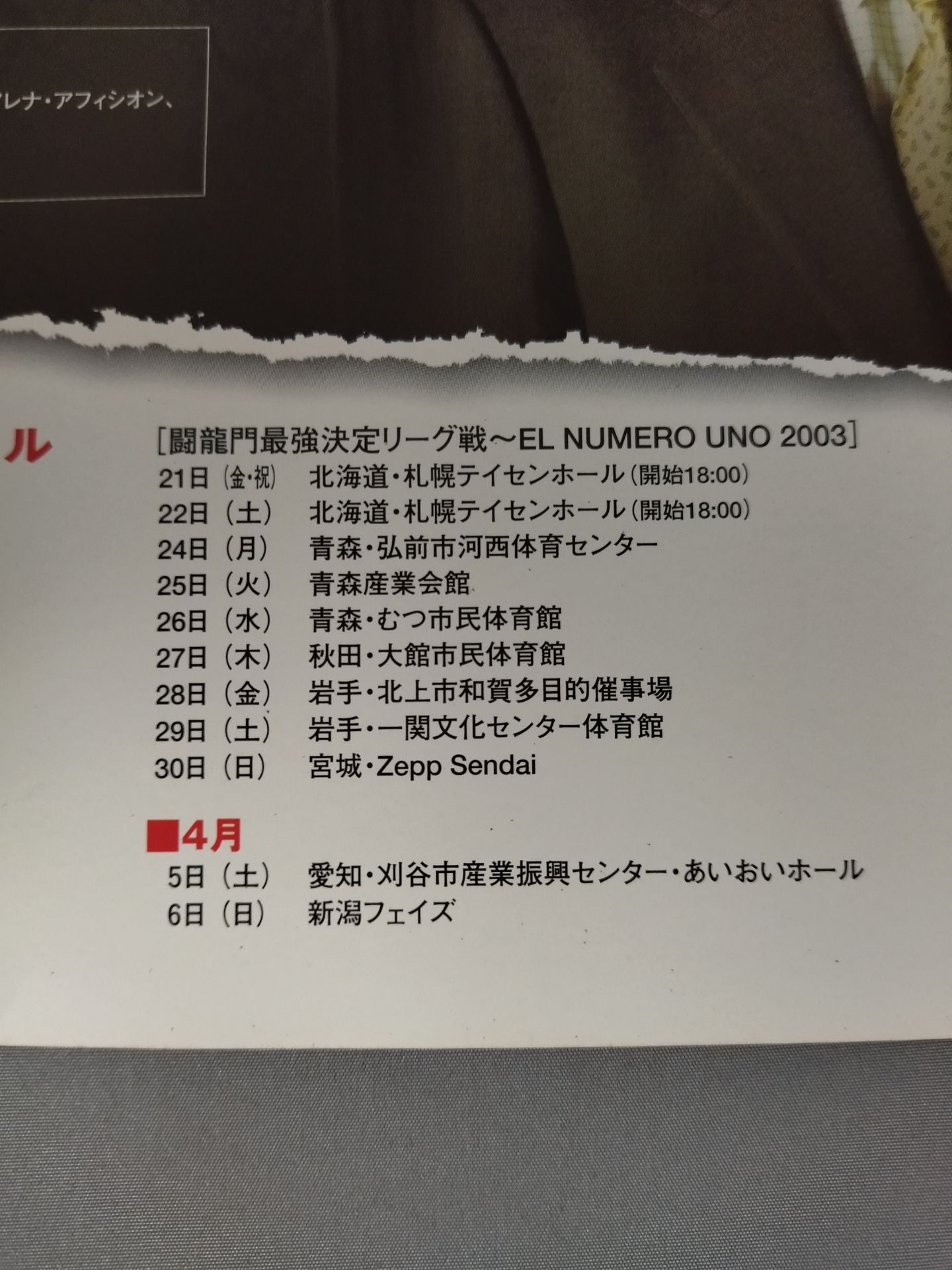 2003 Toryumon  Japan Official Pamphlet (February~April)