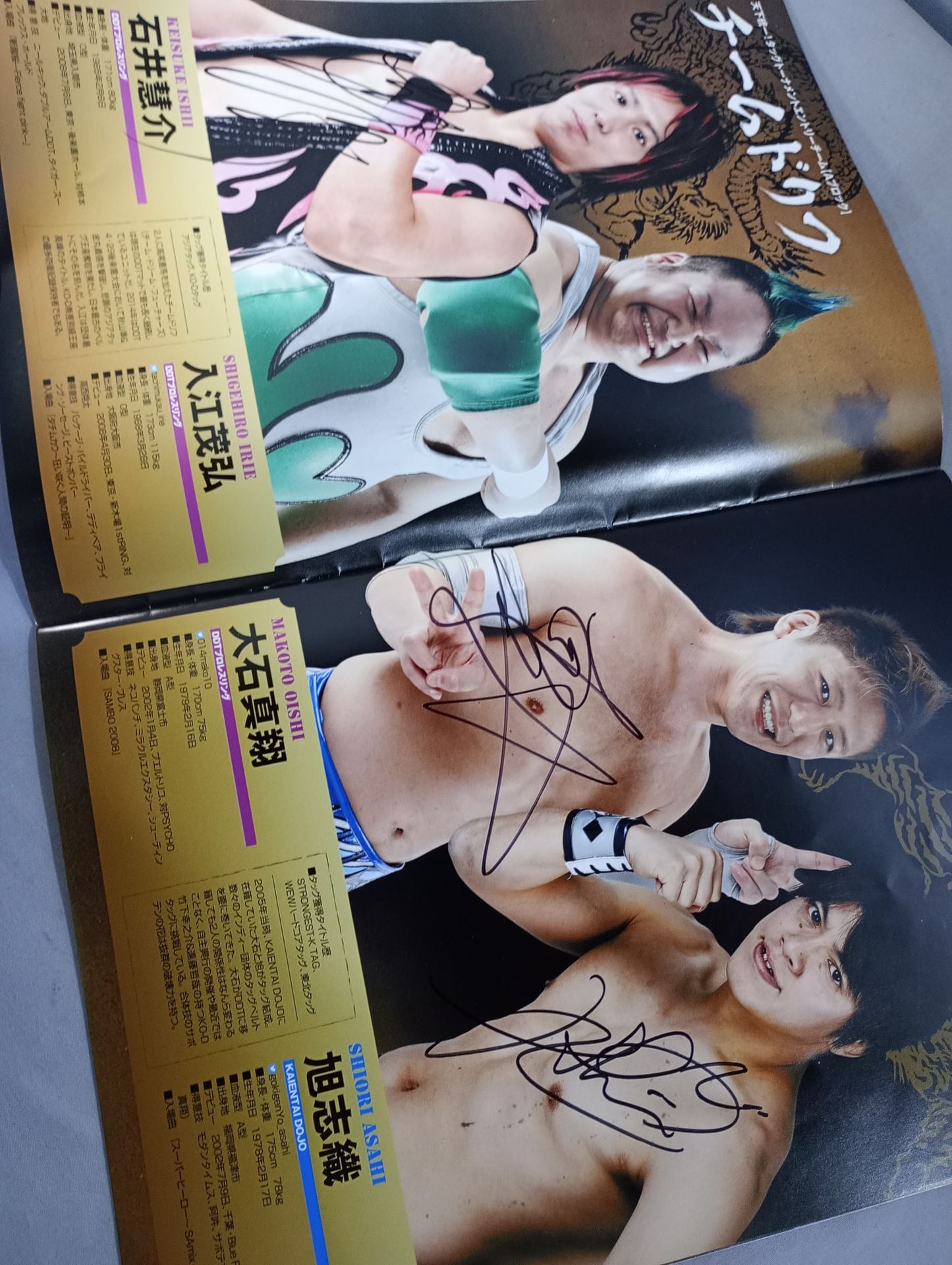 【14 hand signed autograph 】New Year's EvePro Wrestling  2014 Tag Team Tournament