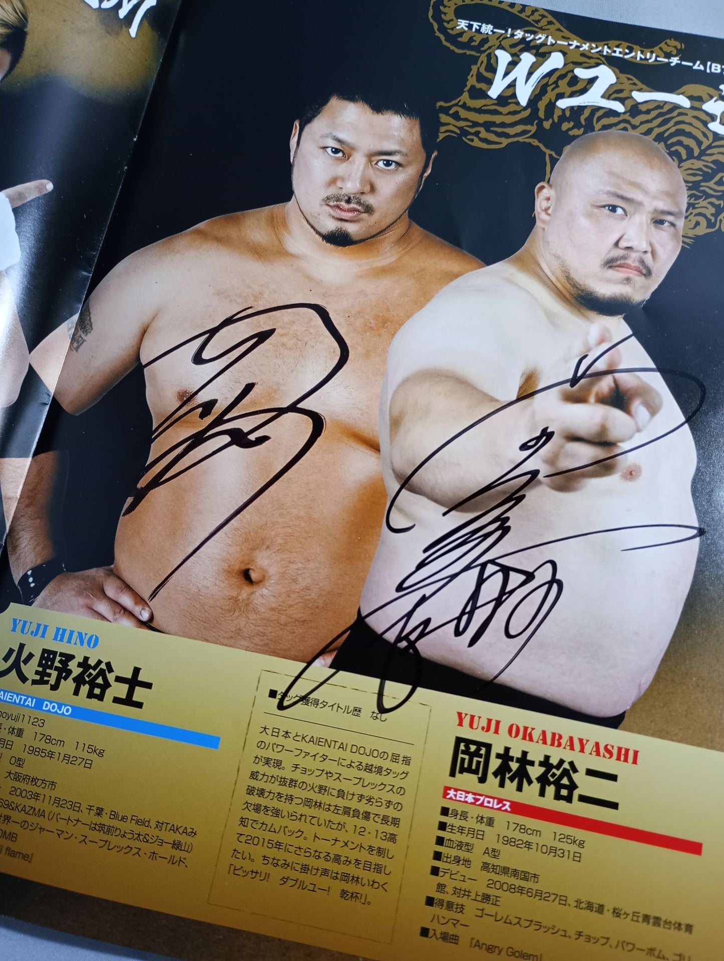 【14 hand signed autograph 】New Year's EvePro Wrestling  2014 Tag Team Tournament