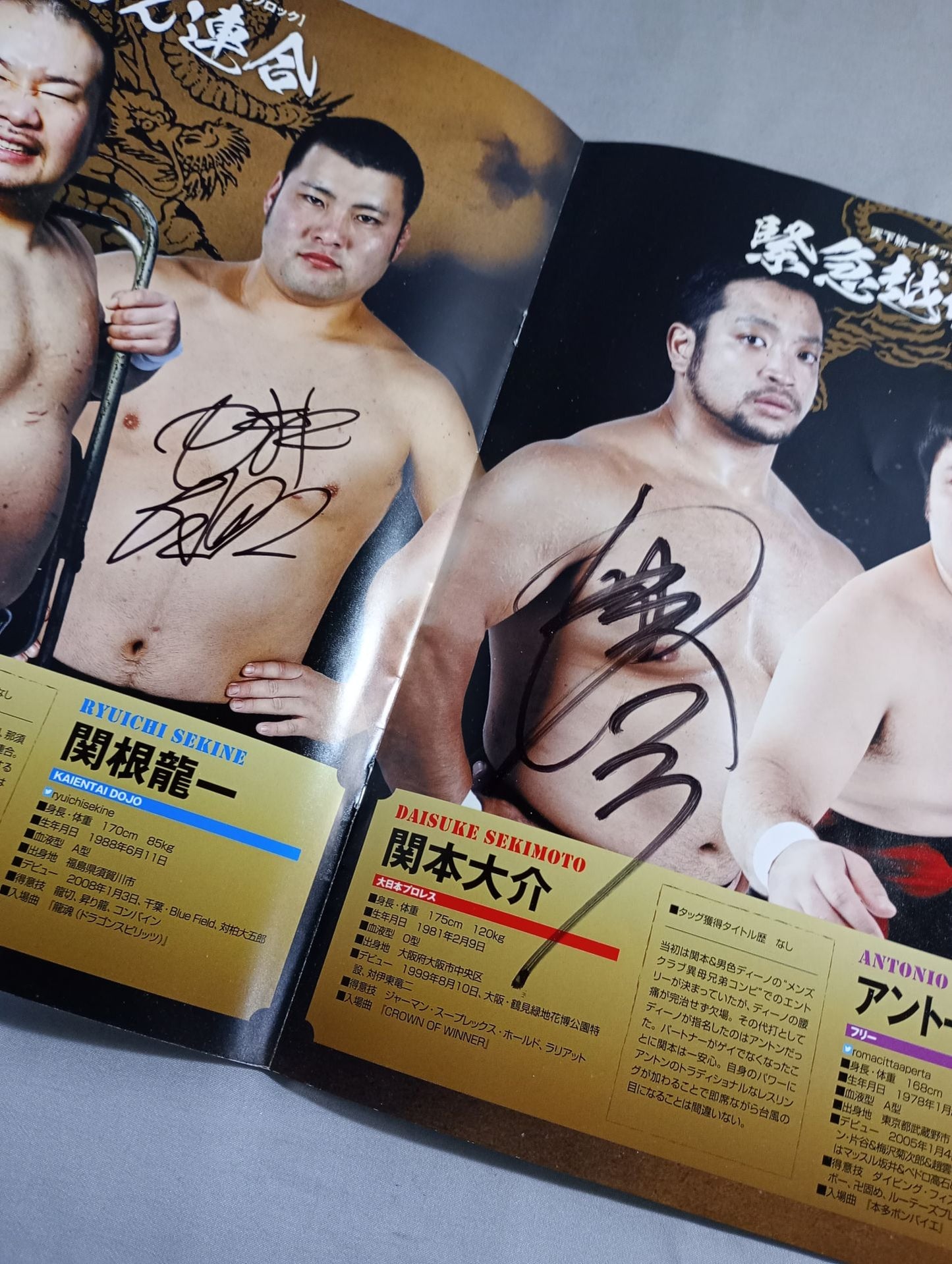 【14 hand signed autograph 】New Year's EvePro Wrestling  2014 Tag Team Tournament