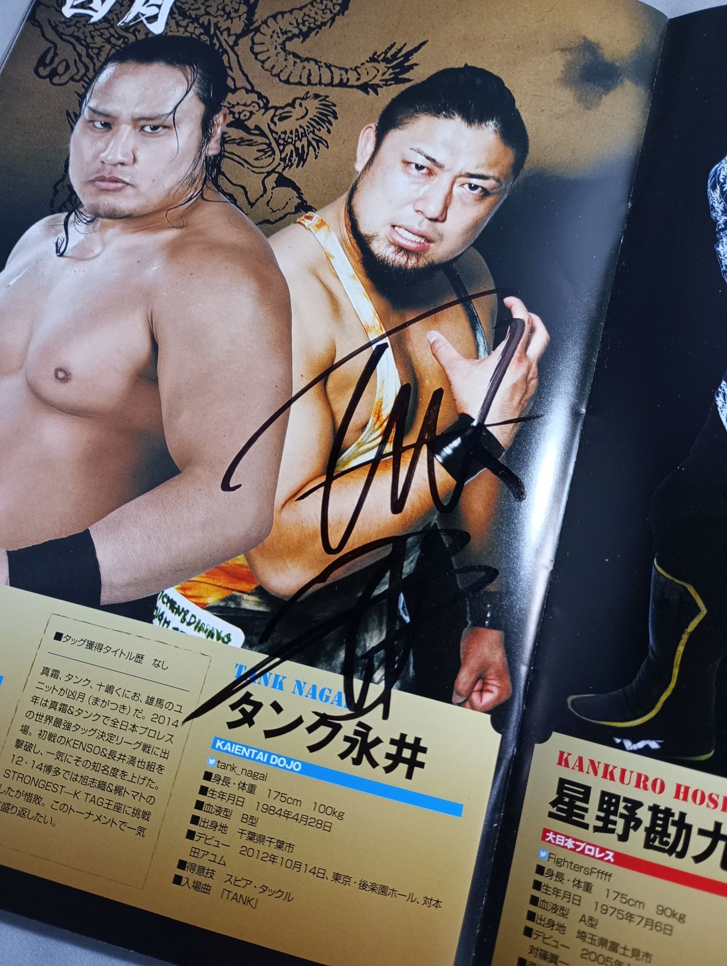 【14 hand signed autograph 】New Year's EvePro Wrestling  2014 Tag Team Tournament