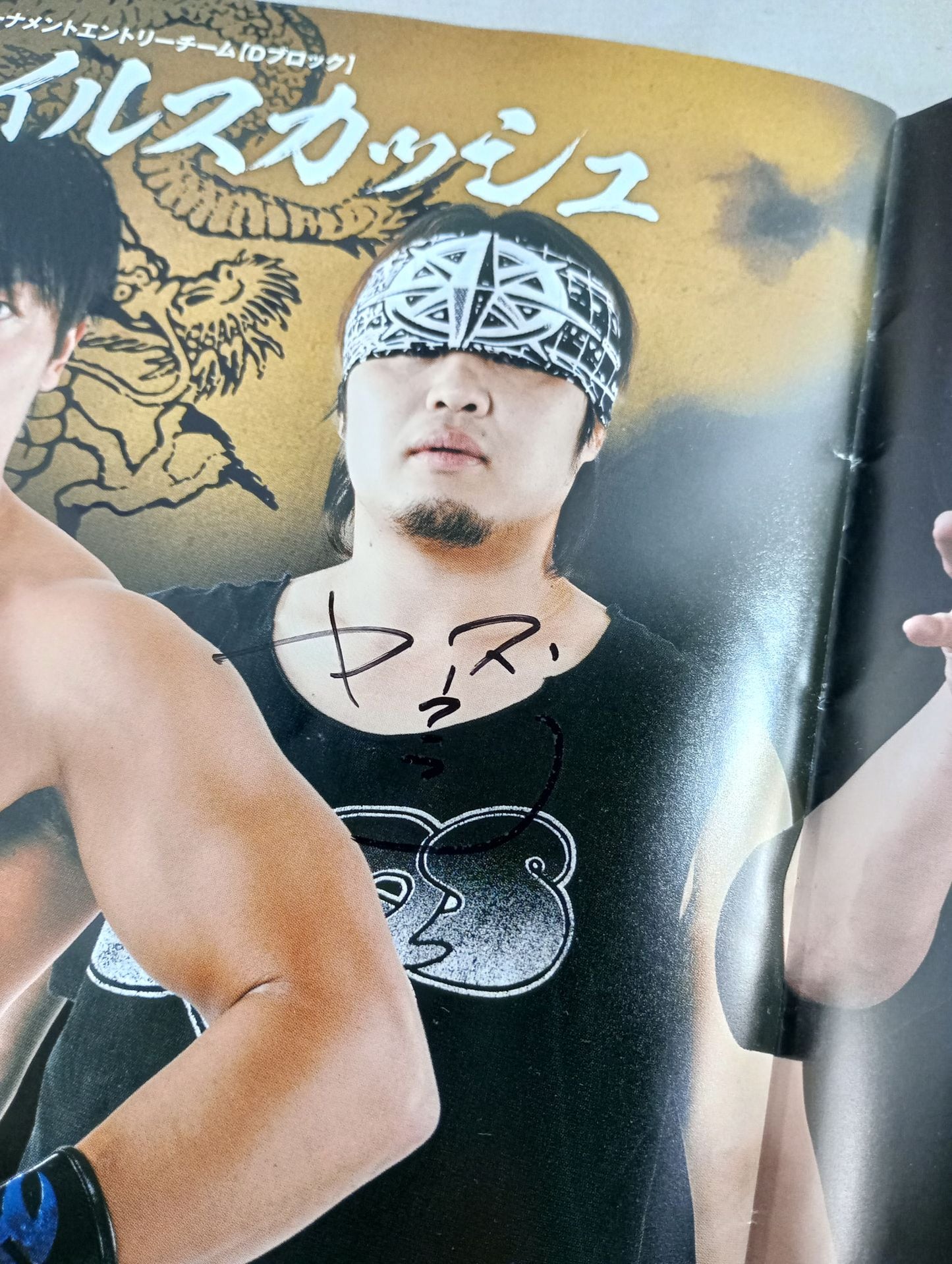 【14 hand signed autograph 】New Year's EvePro Wrestling  2014 Tag Team Tournament