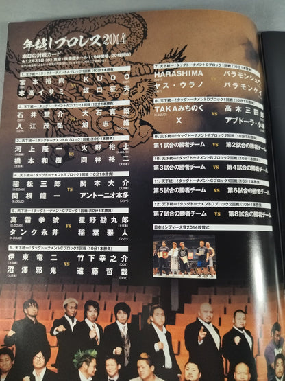 New Year's Eve Pro Wrestling  2014 Tag Team Tournament