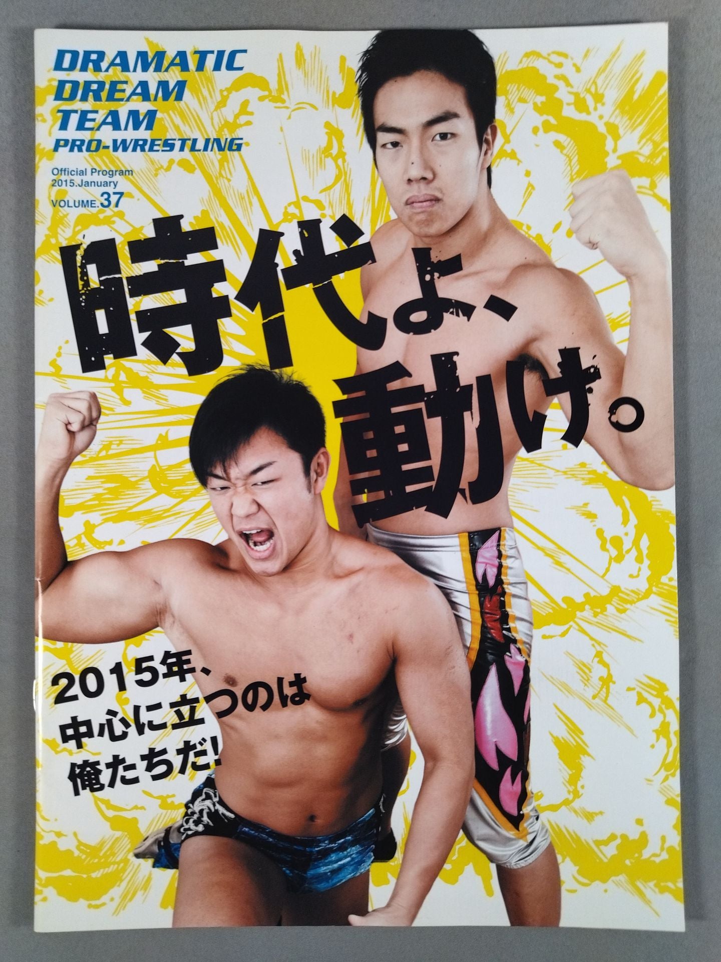 DDT Official Program 2015-01 Vol. 37