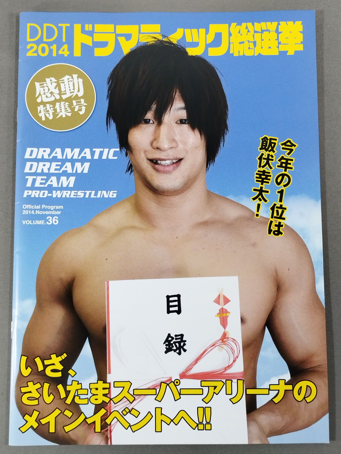 DDT Official Program 2014 November Vol.36
