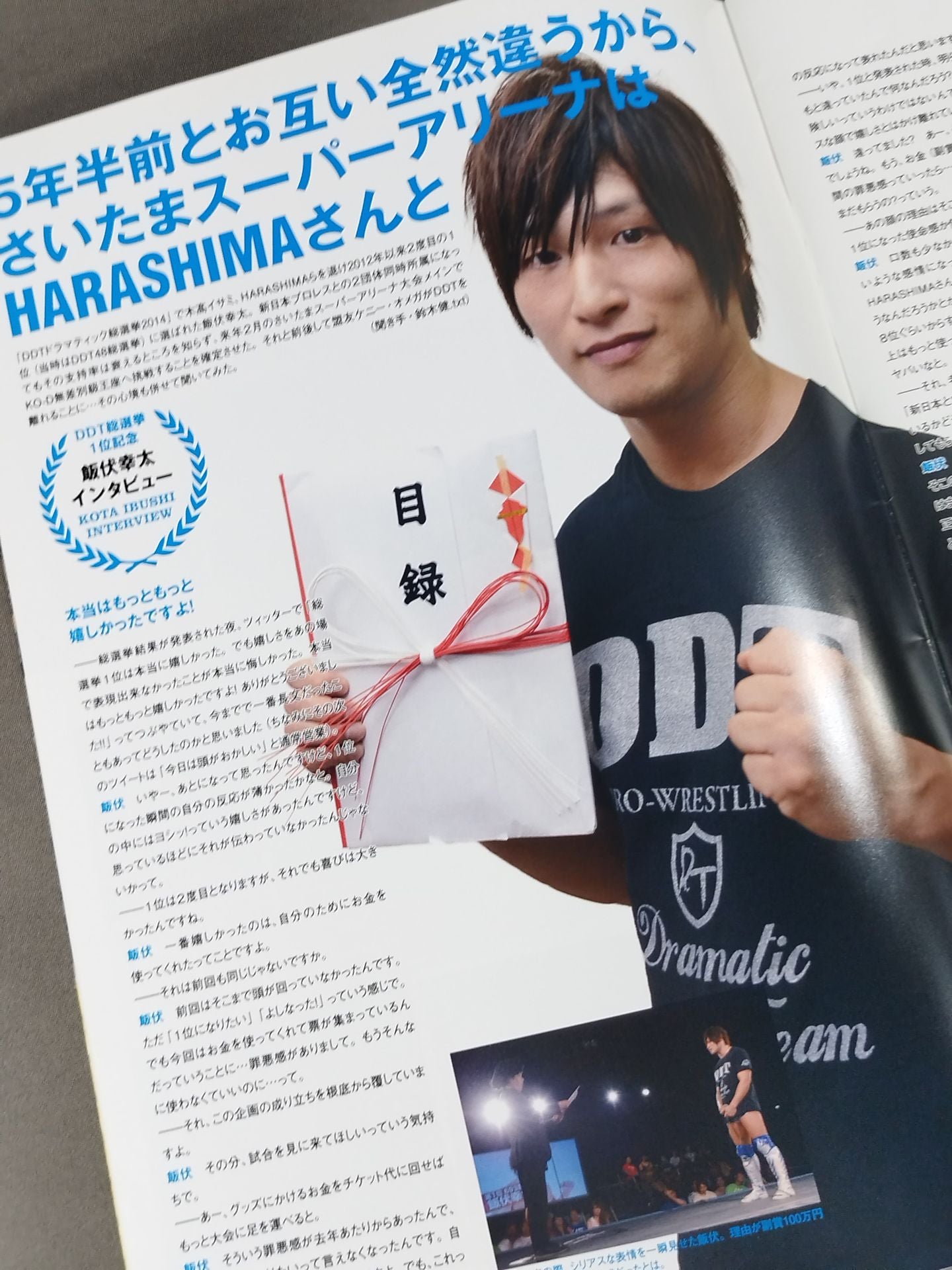 DDT Official Program 2014 November Vol.36
