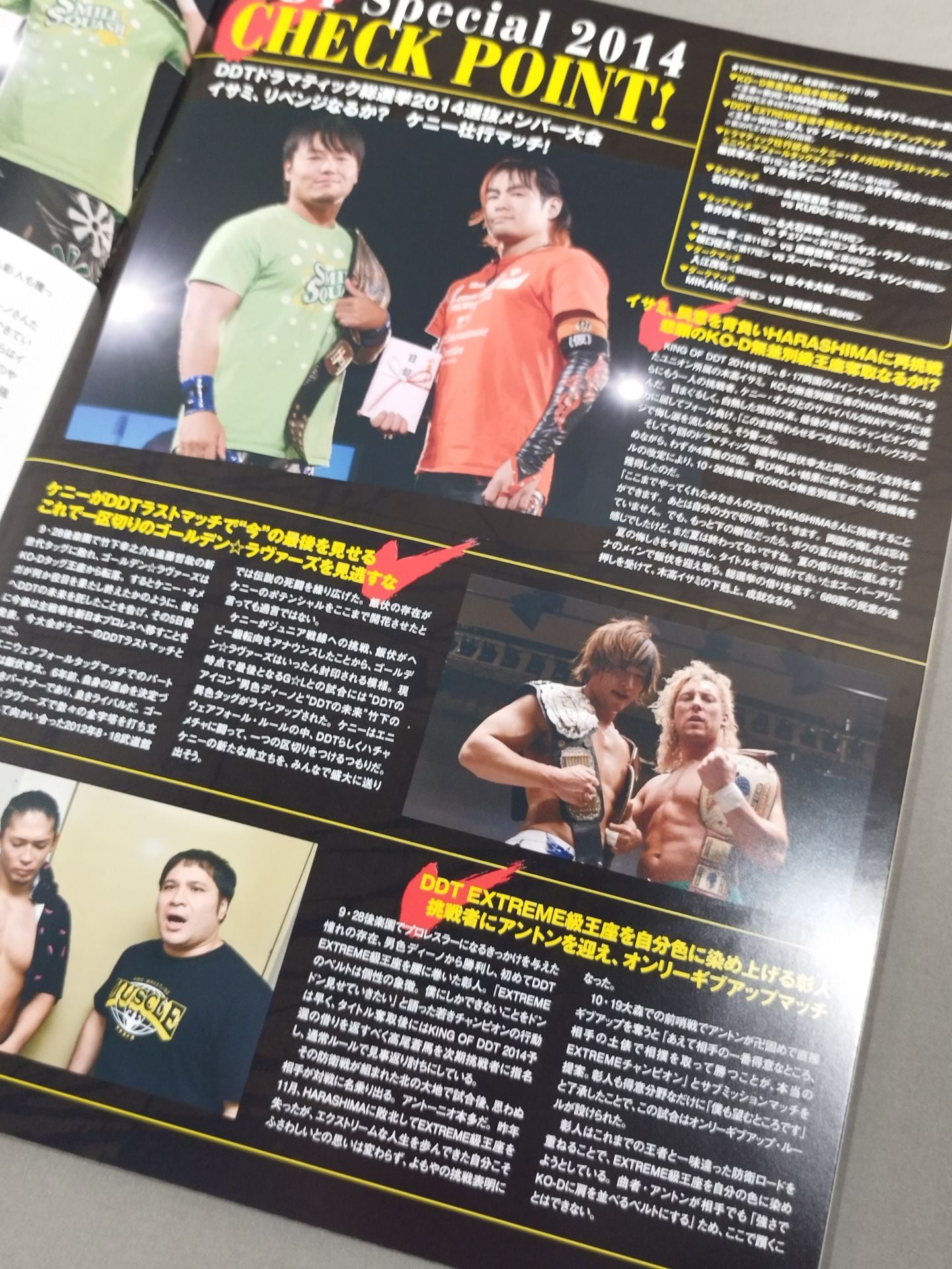 DDT Official Program 2014 November Vol.36
