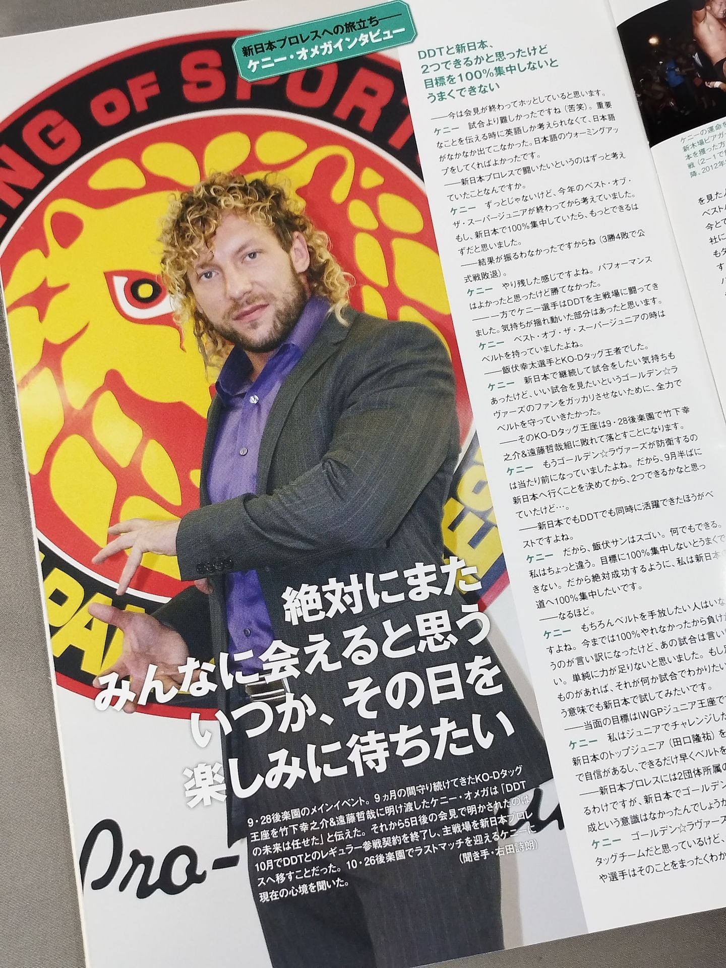 DDT Official Program 2014 November Vol.36