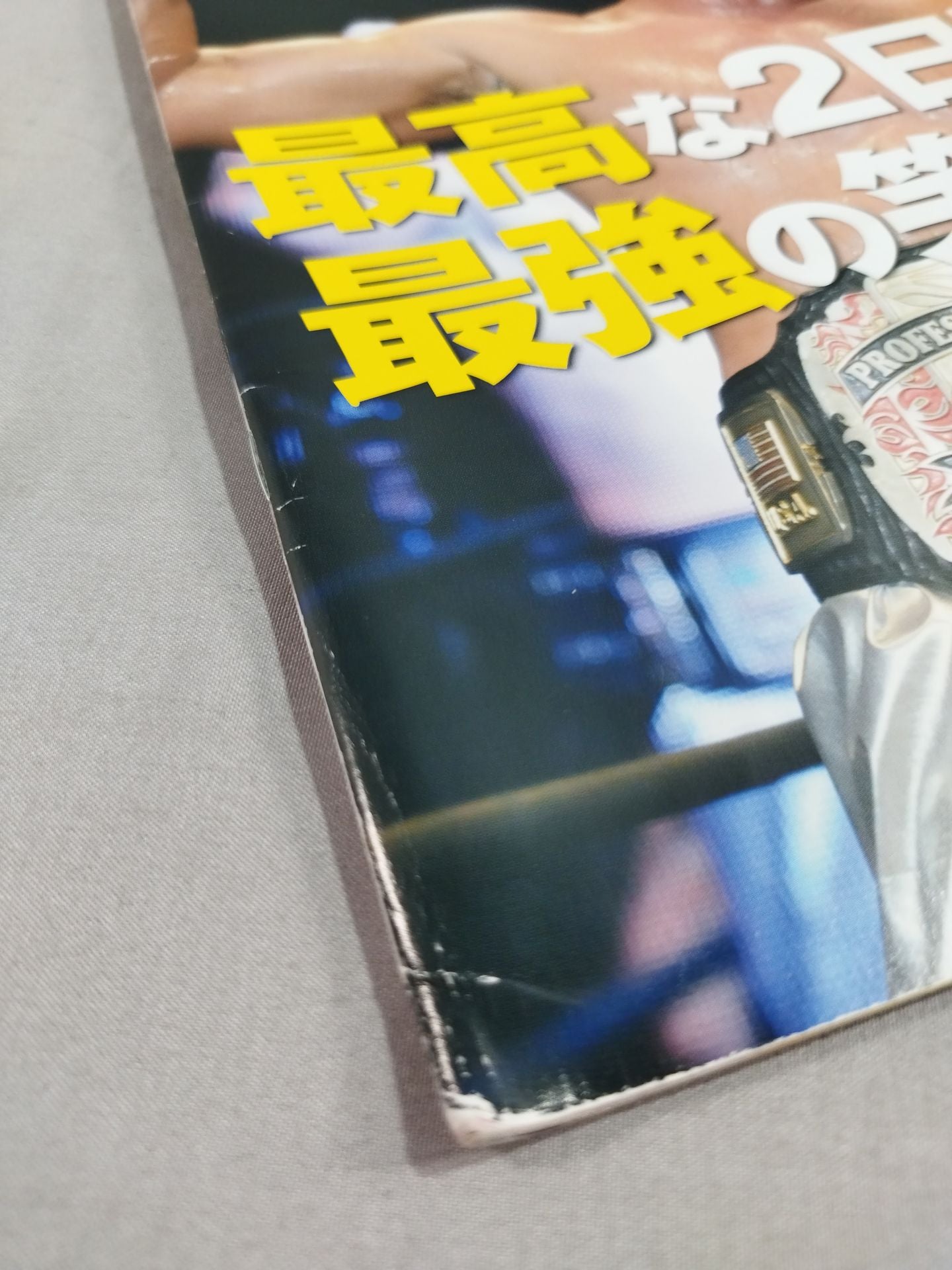 [Danshoku Dino  hand signed autograph DDT & Union Official Program Fall 2013