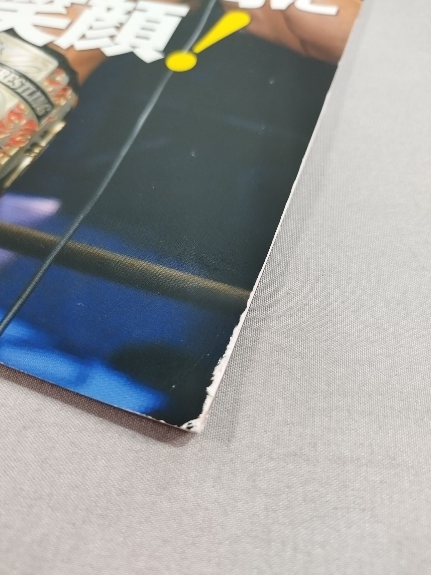 [Danshoku Dino  hand signed autograph DDT & Union Official Program Fall 2013