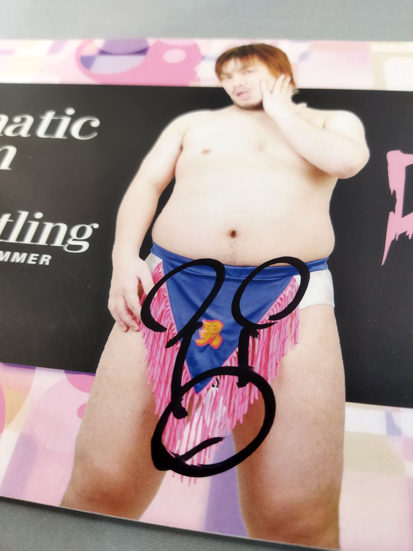 [3 fighters hand signed autograph DDT Official Program Summer 2008 Vol.09