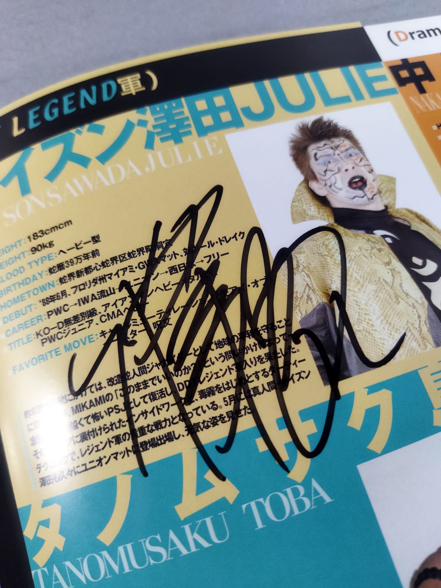 [3 fighters hand signed autograph DDT Official Program Summer 2008 Vol.09