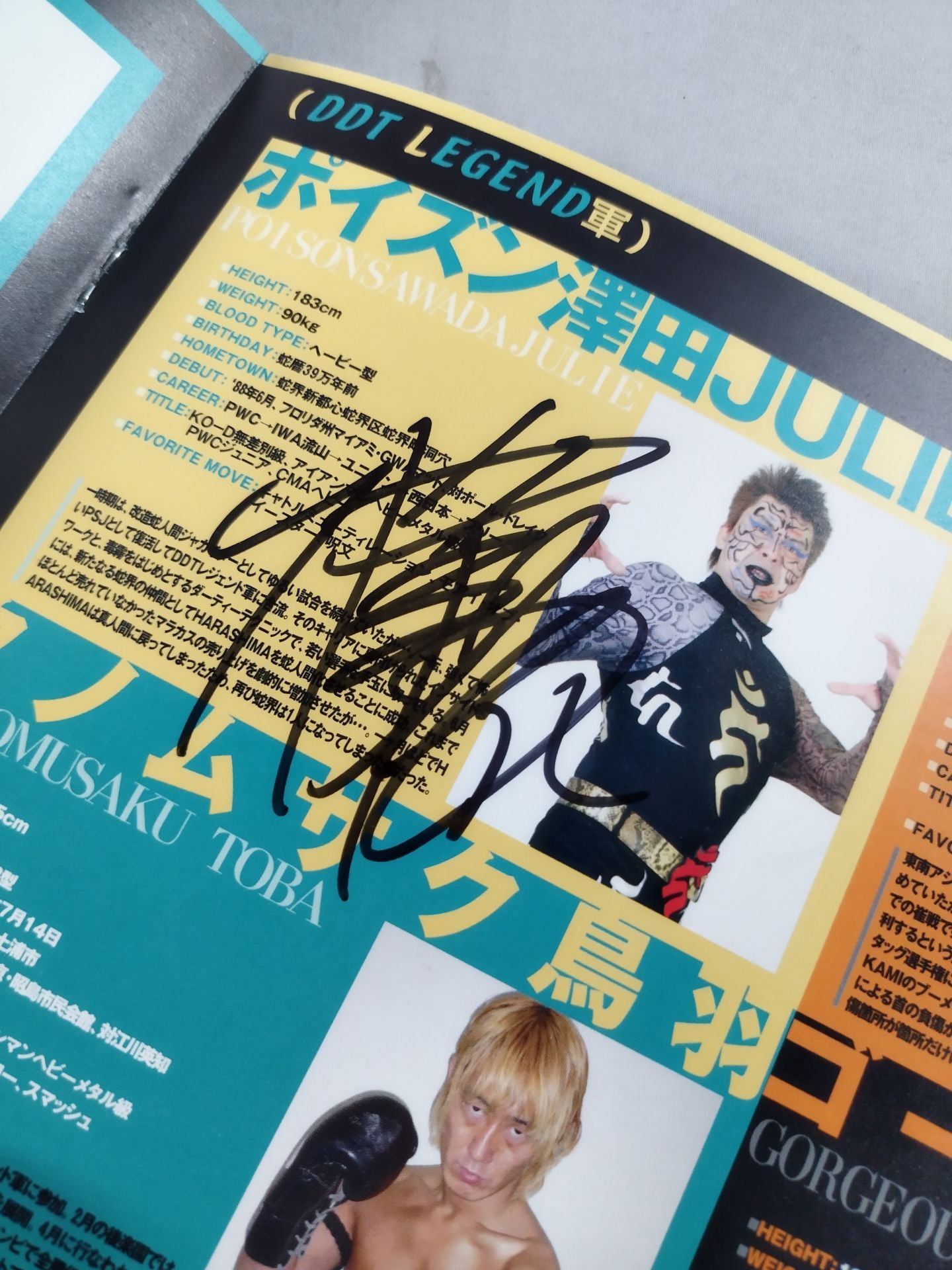 【Poison Sawada JULIE hand signed autograph 】DDT Official Program Autumn 2008 Vol.1