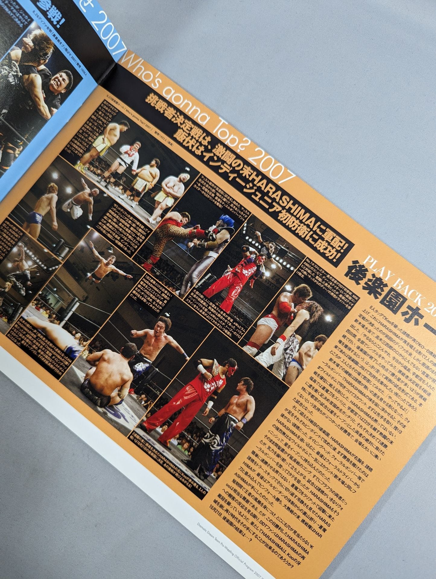 ★HARASHIMA vs MIKAMI KO-D DDT ★Official Program 2007 WINTER Vol.07