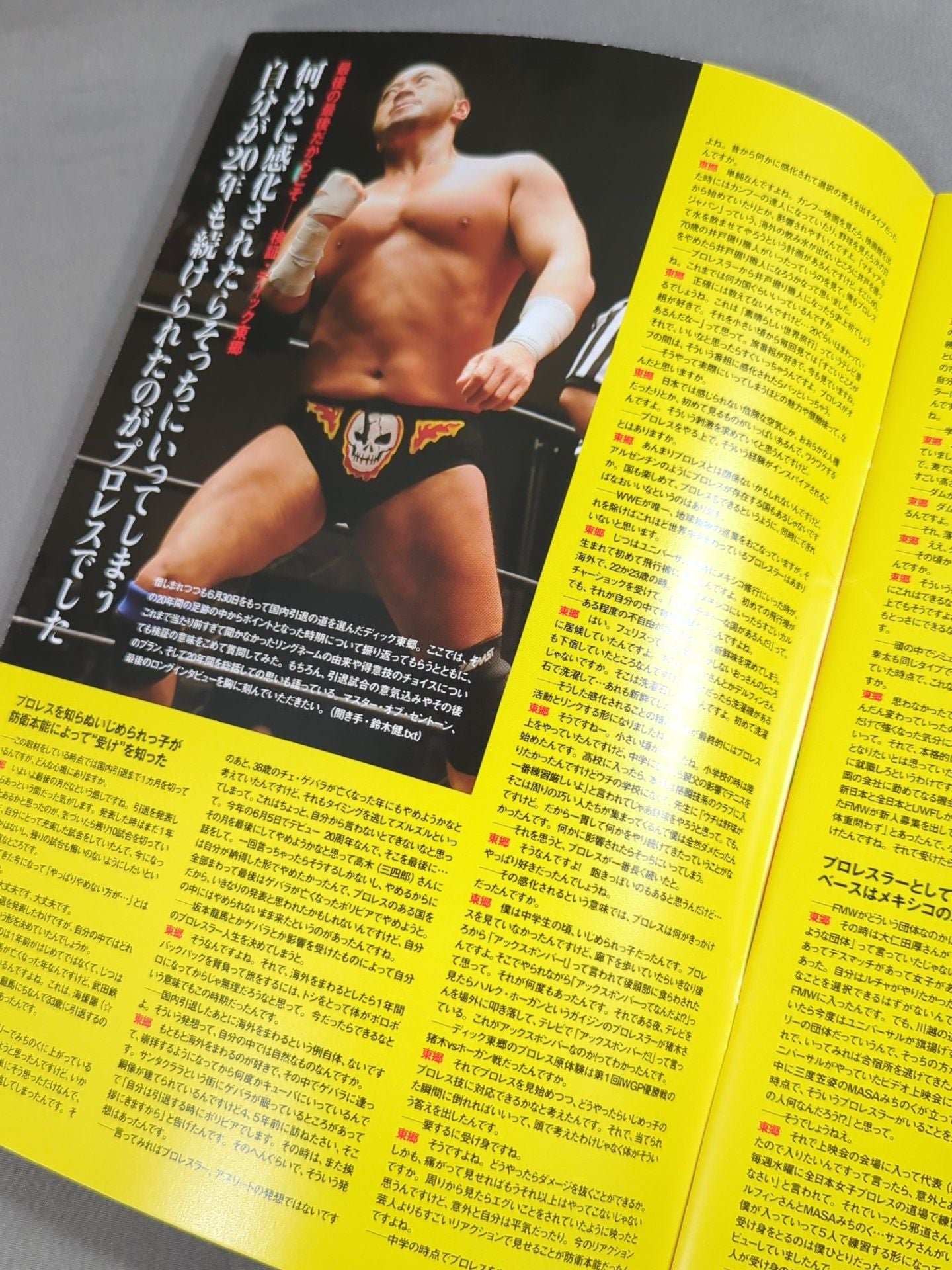 ディック東郷国内引退興行 / DDT official program 2011 Special Edition