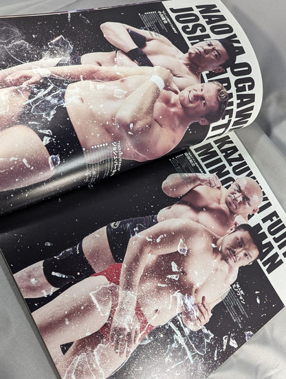 INOKI BOM-BA-YE 2014 / イノキボンバイエ2014