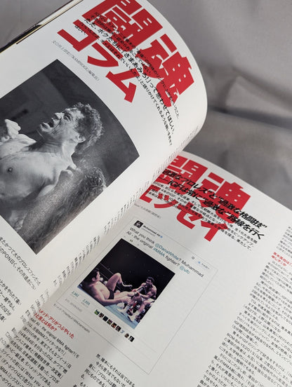 INOKI BOM-BA-YE 2014 / イノキボンバイエ2014