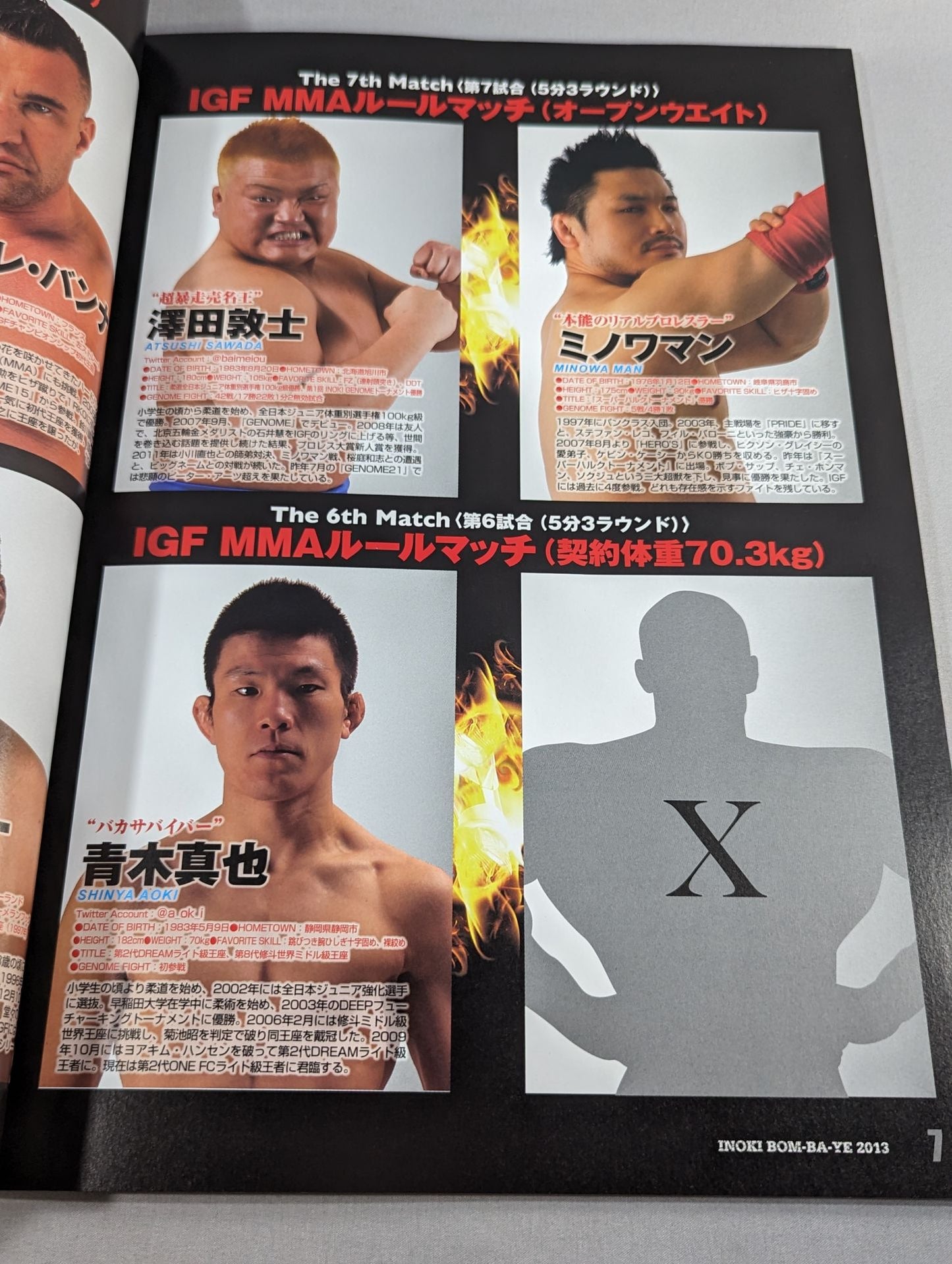 IGF / INOKI BOM-BA-YE 2013 / イノキボンバイエ2013