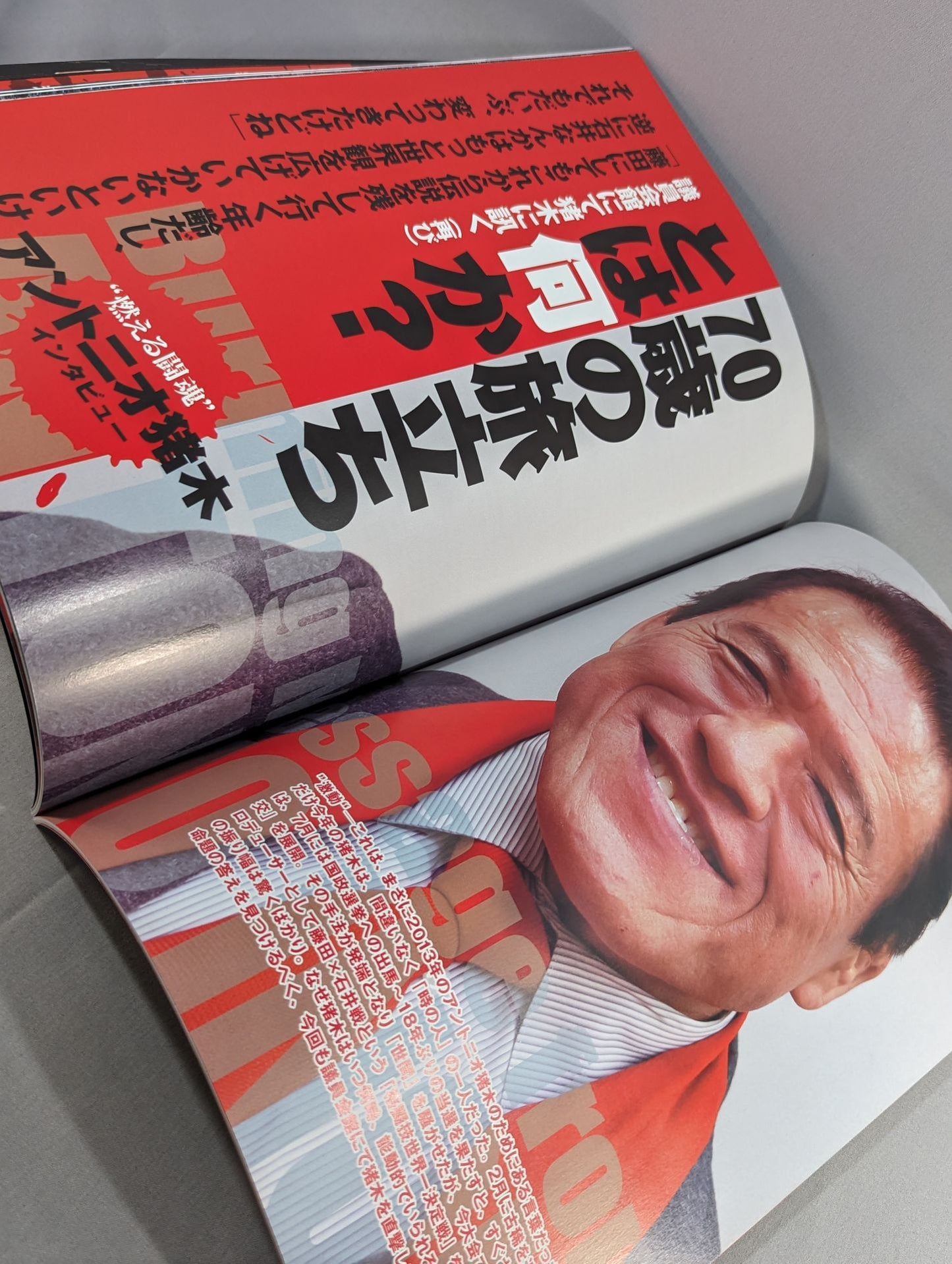 IGF / INOKI BOM-BA-YE 2013 / イノキボンバイエ2013