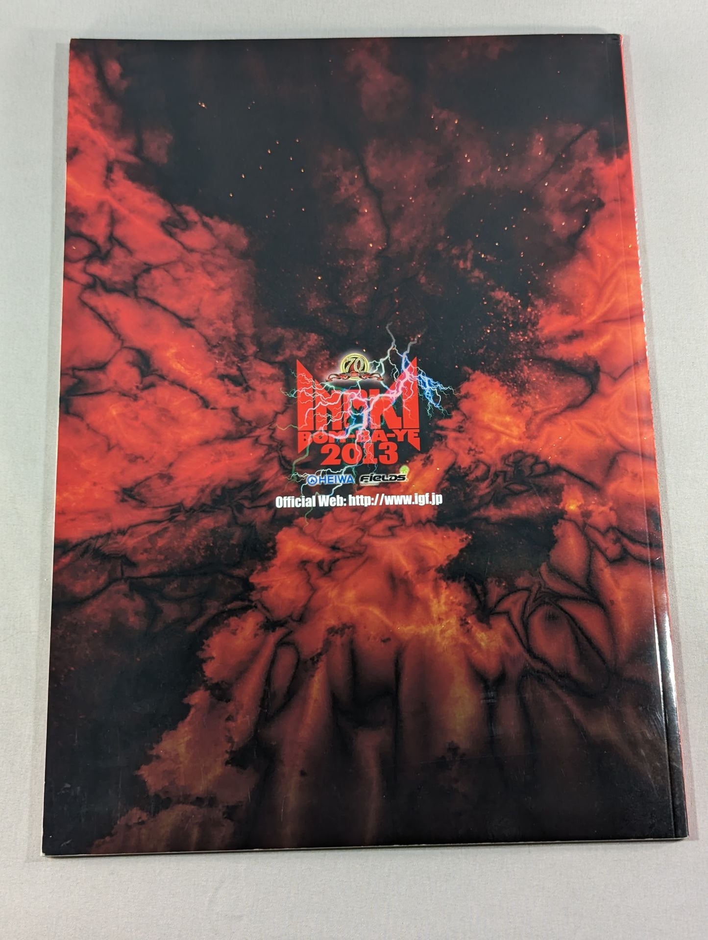 IGF / INOKI BOM-BA-YE 2013 / イノキボンバイエ2013