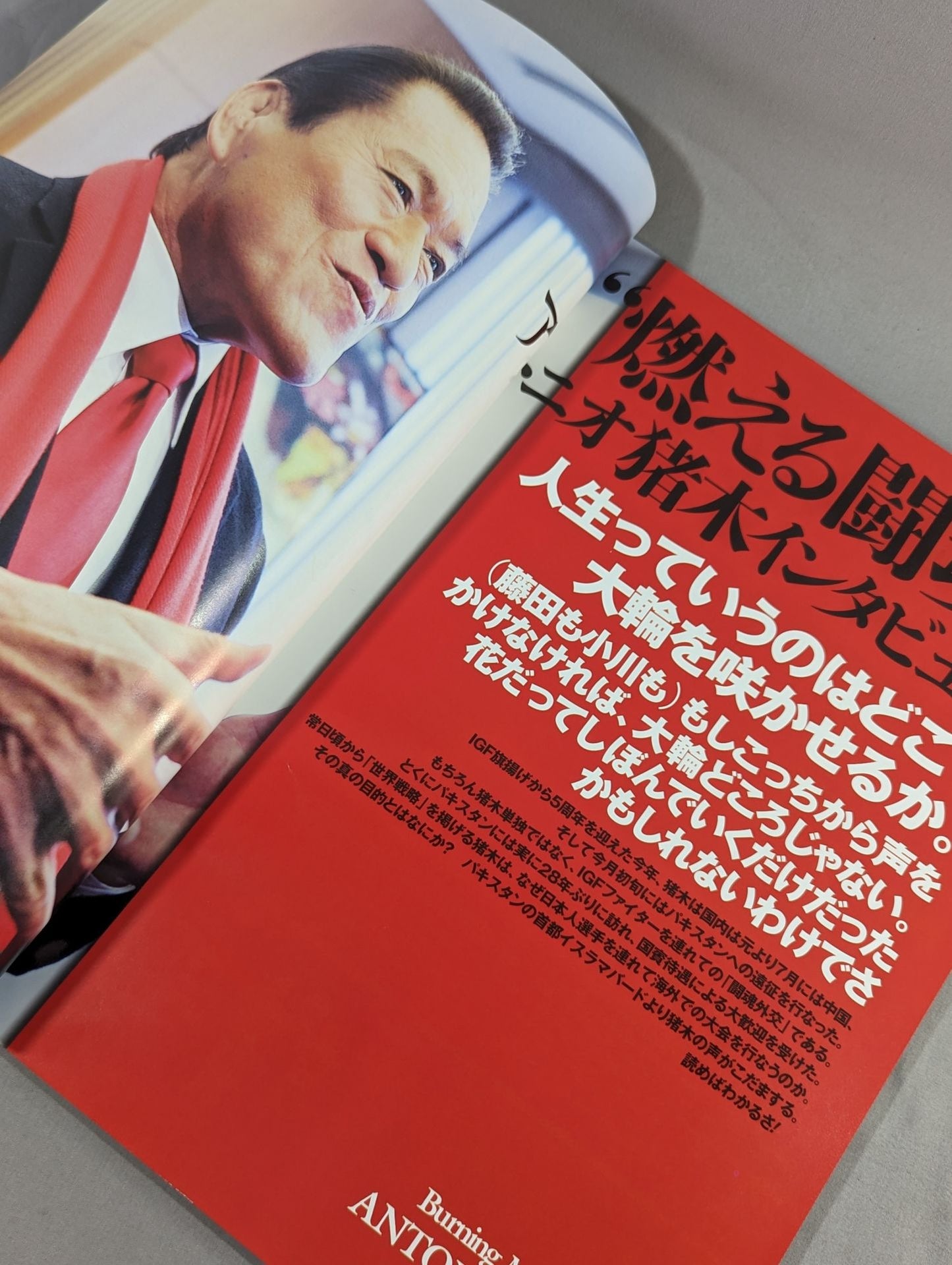 IGF / INOKI BOM-BA-YE 2012 / イノキボンバイエ2012