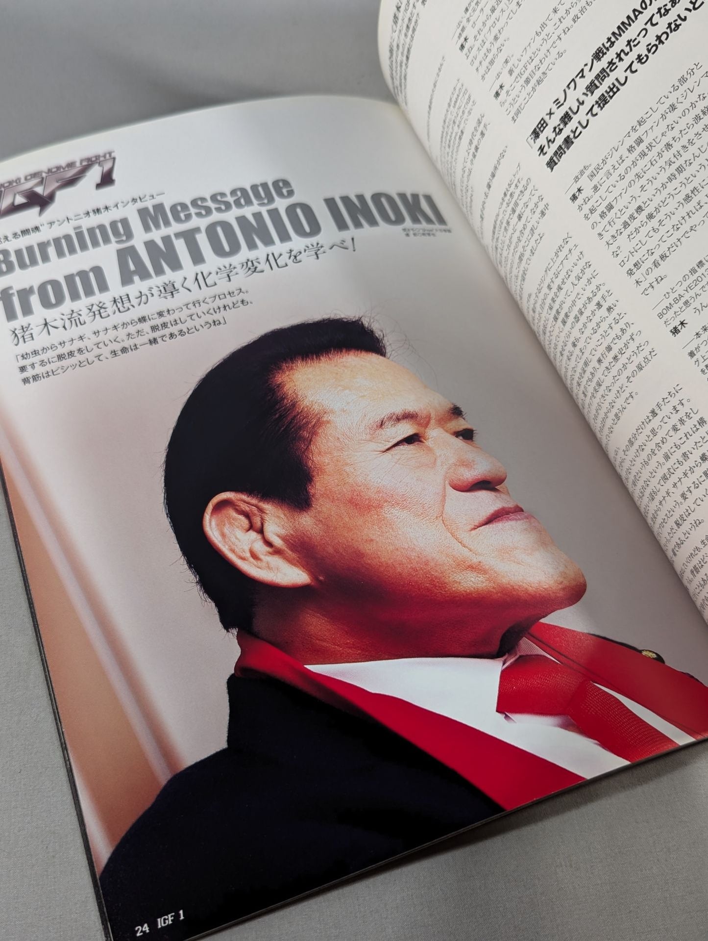 IGF / INOKI GENOME FIGHT1