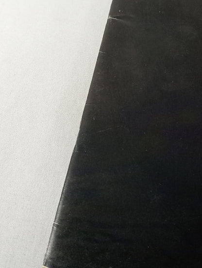 UFO / INOKI - ISM TAKE OFF