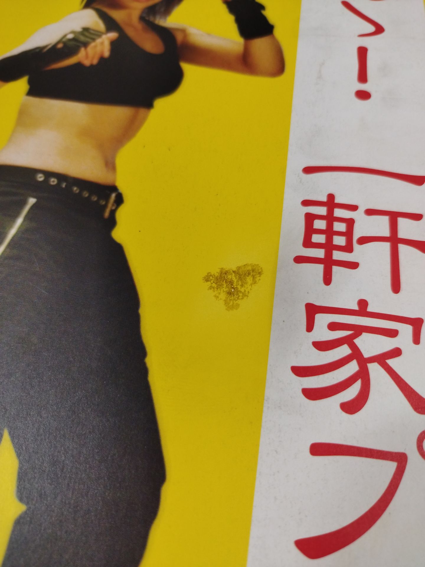 ☆橋本真也 主演☆ あゝ! 一軒家プロレス – 闘道館
