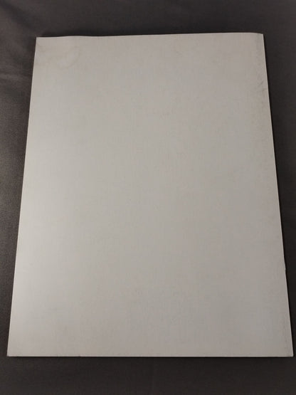 力道山 関連映画パンフレット2冊セット