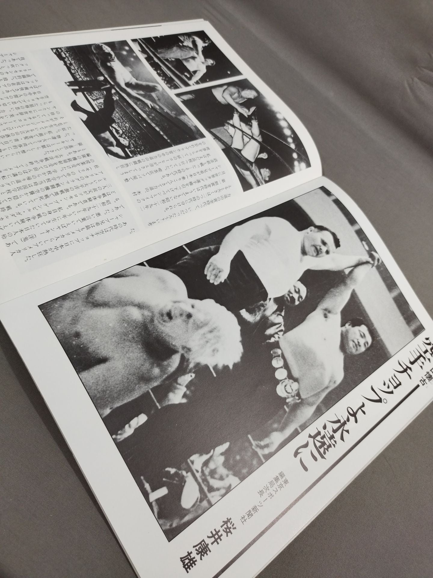 The Rikidozan  (1983 documentary)