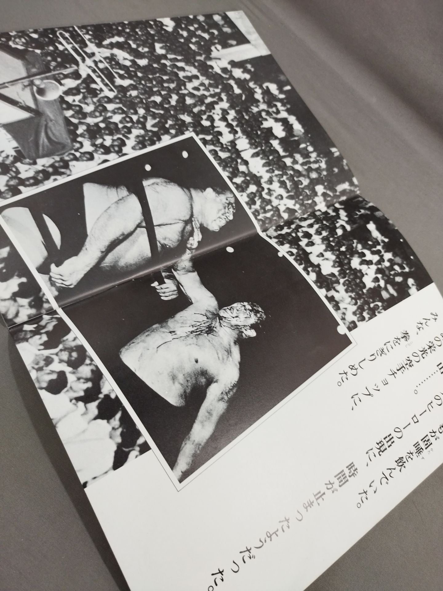 The Rikidozan  (1983 documentary)