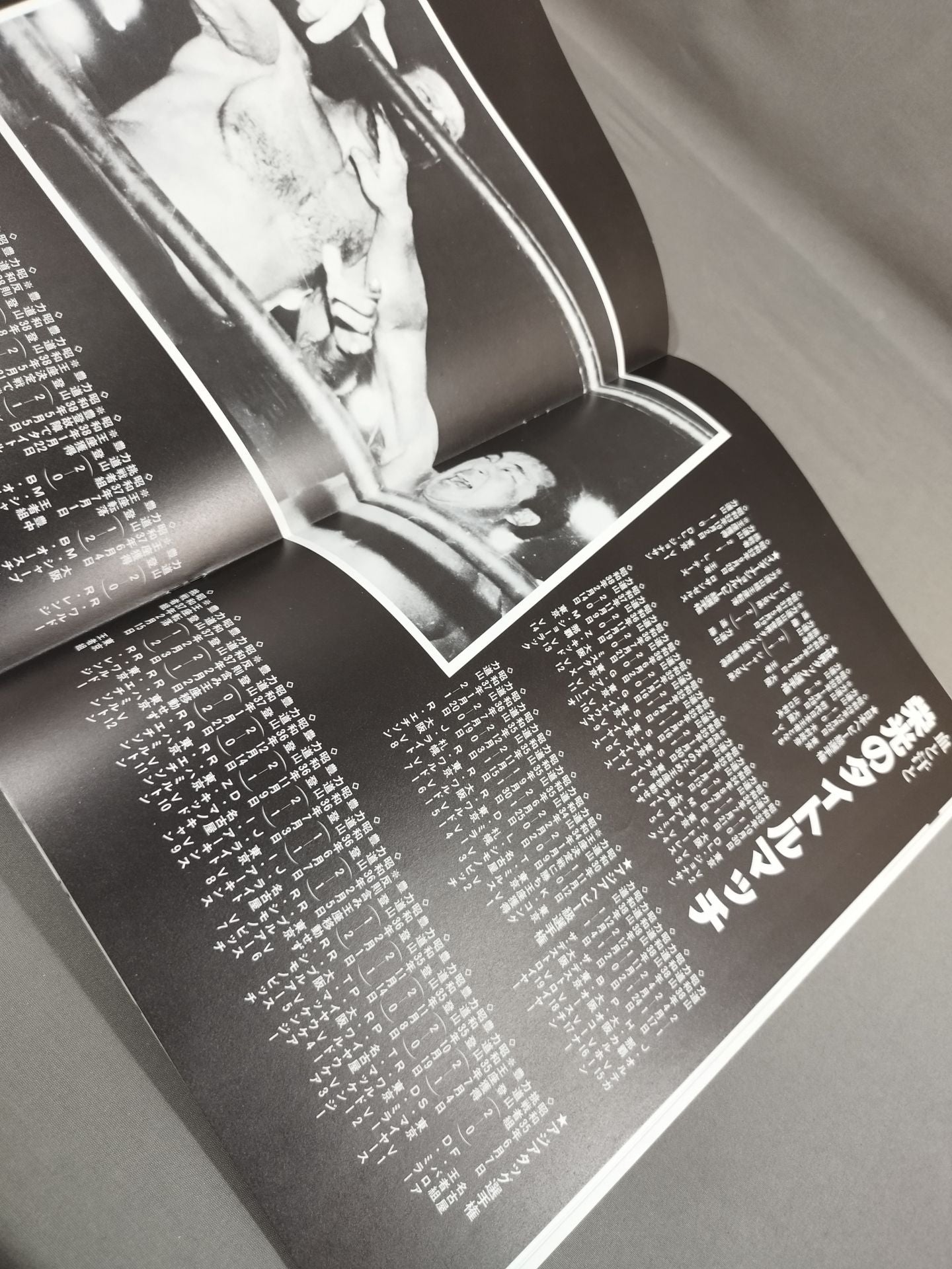 The Rikidozan  (1983 documentary)