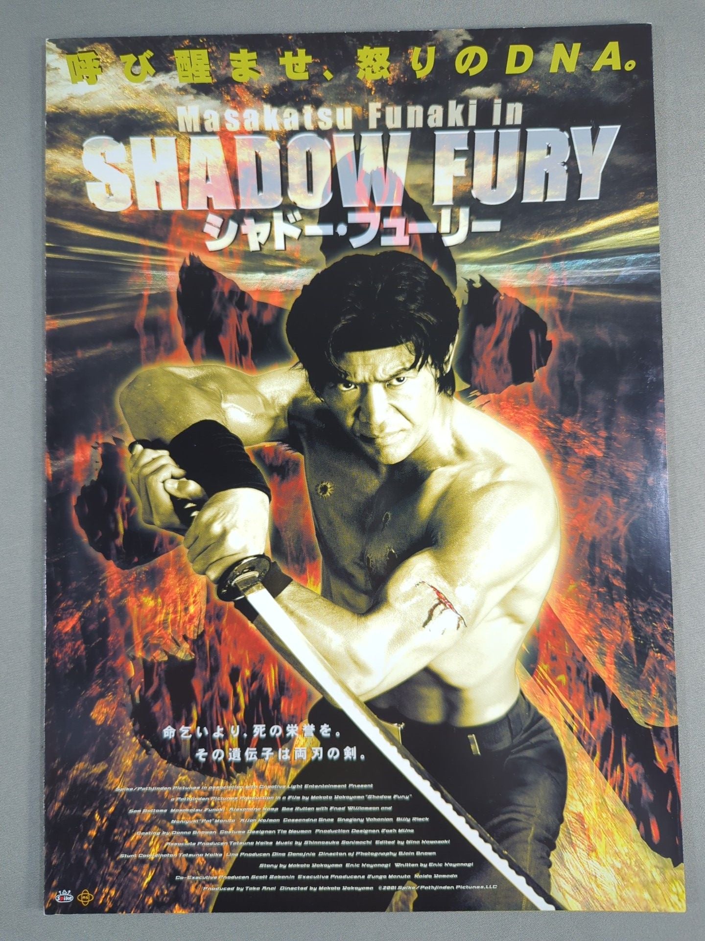 シャドー・フューリー / SHADOW FURY
