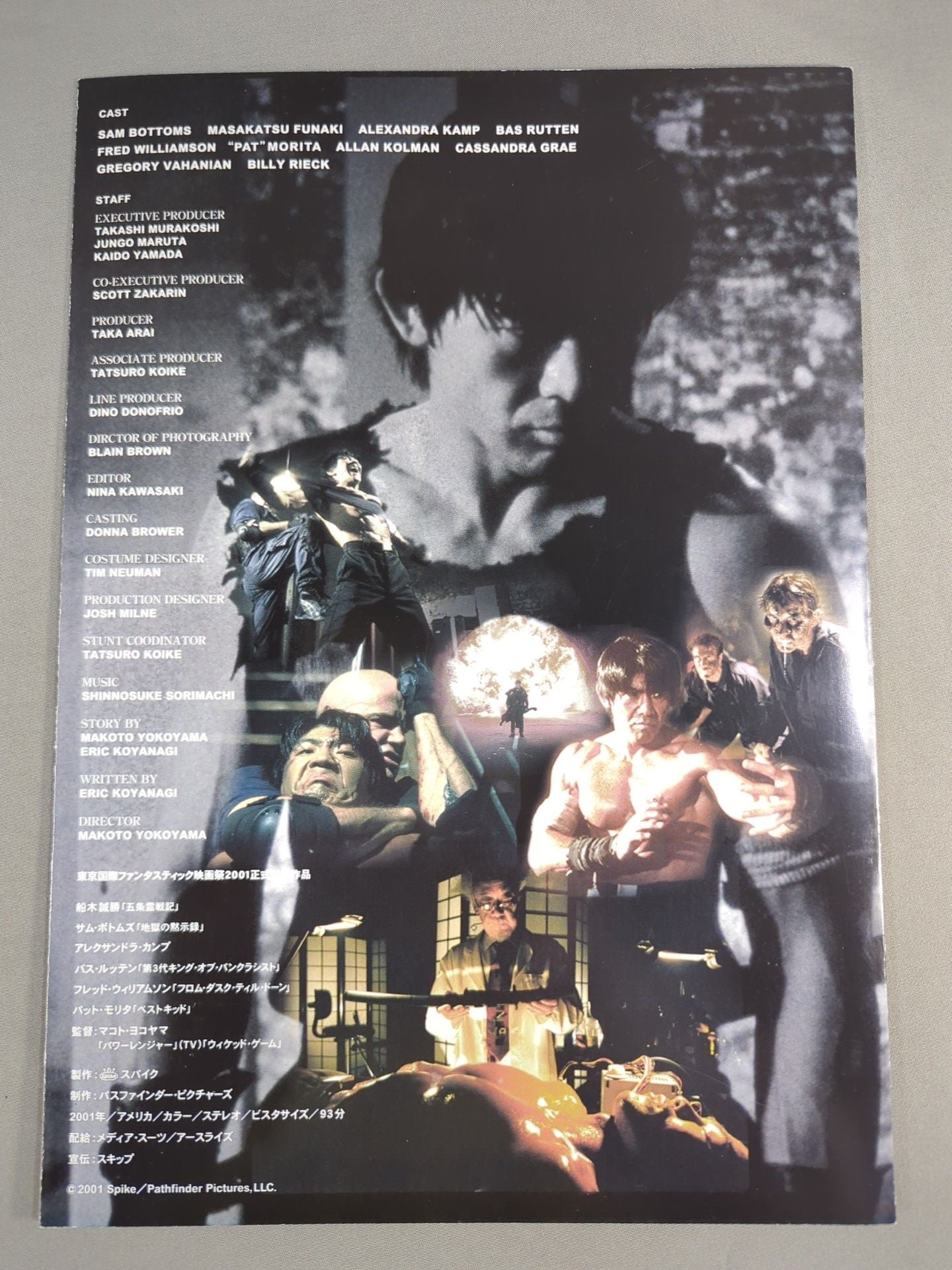 シャドー・フューリー / SHADOW FURY